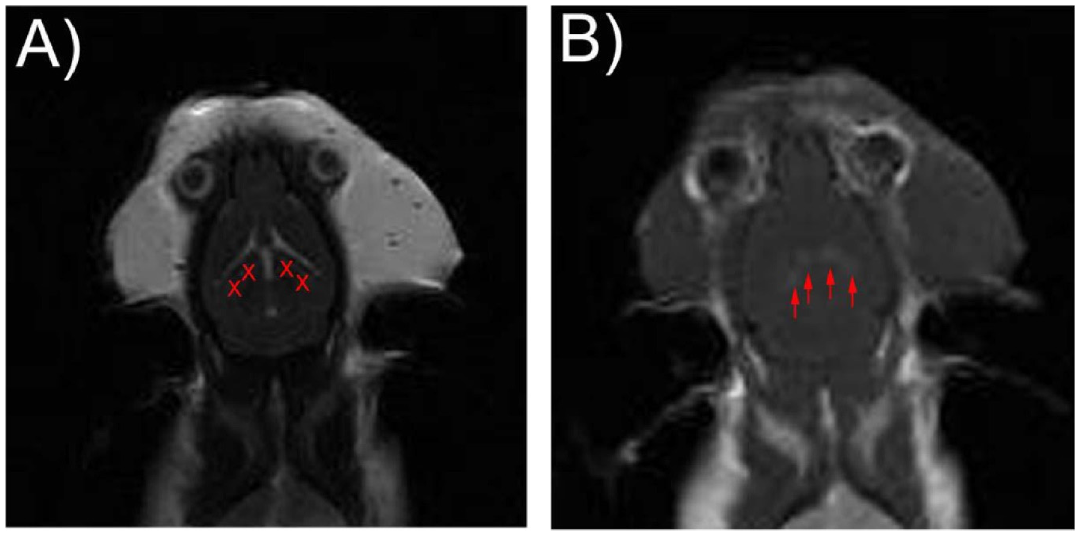 Applsci 06 00365 g004