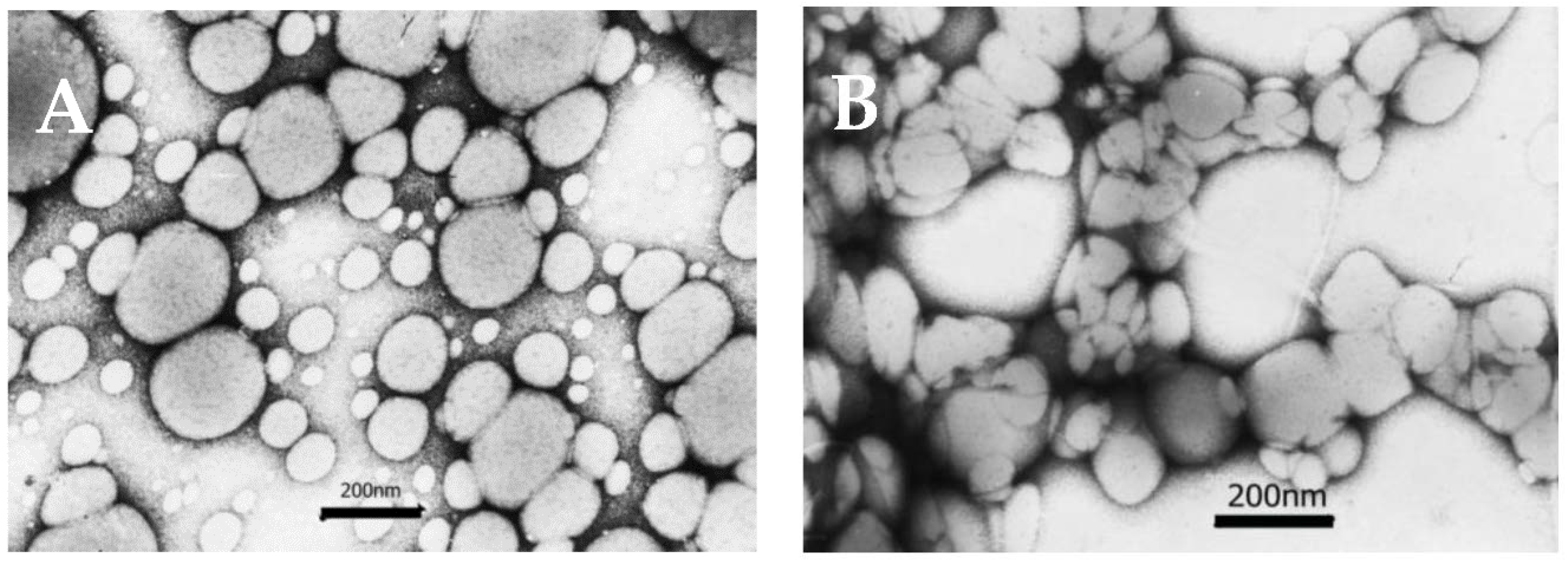 Applsci 06 00444 g008