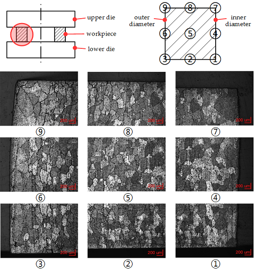 Applied Sciences Free FullText Grain Size in Aluminum Alloy 6061 under Hot Ring Compression