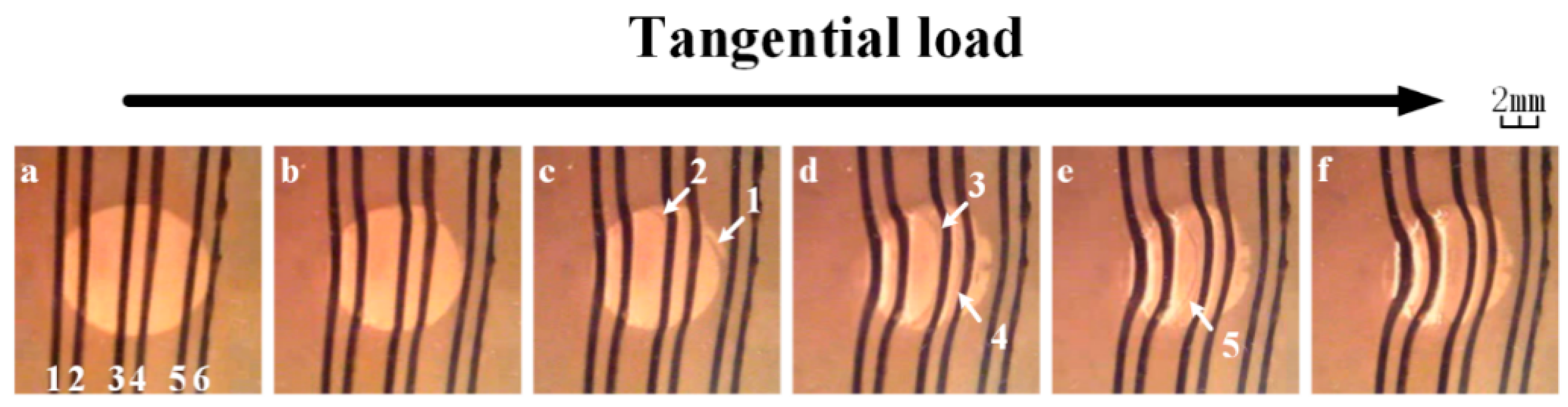 Applsci 07 00760 g007