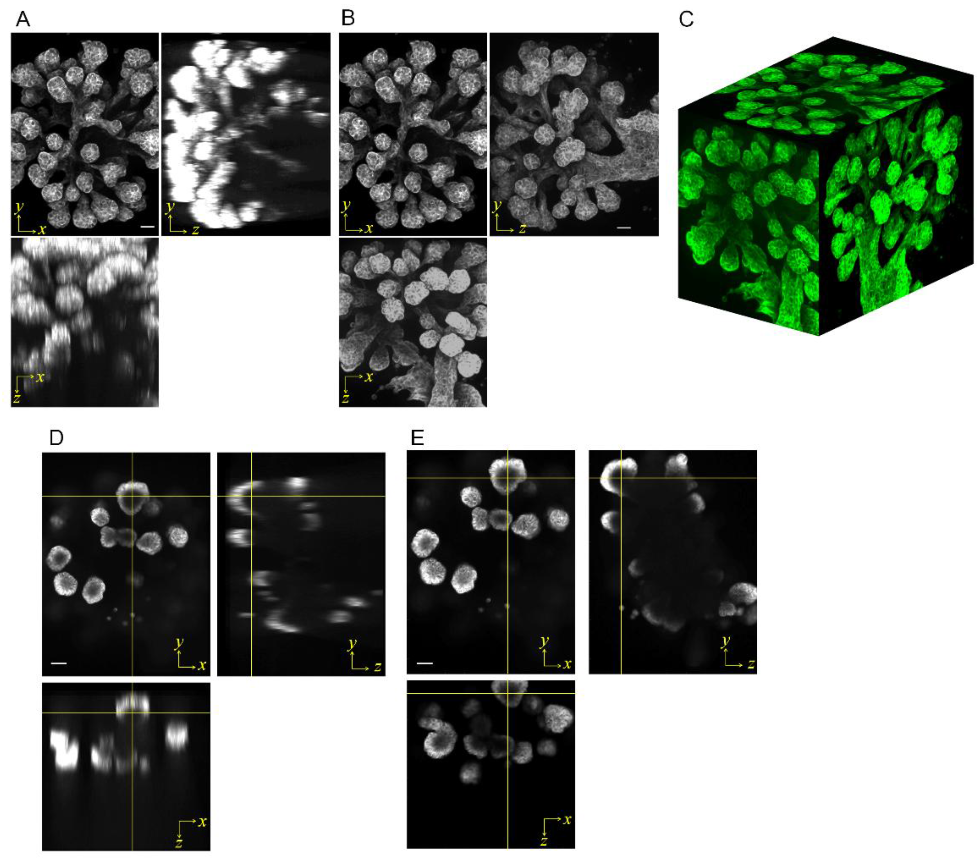 Applsci 08 00235 g003