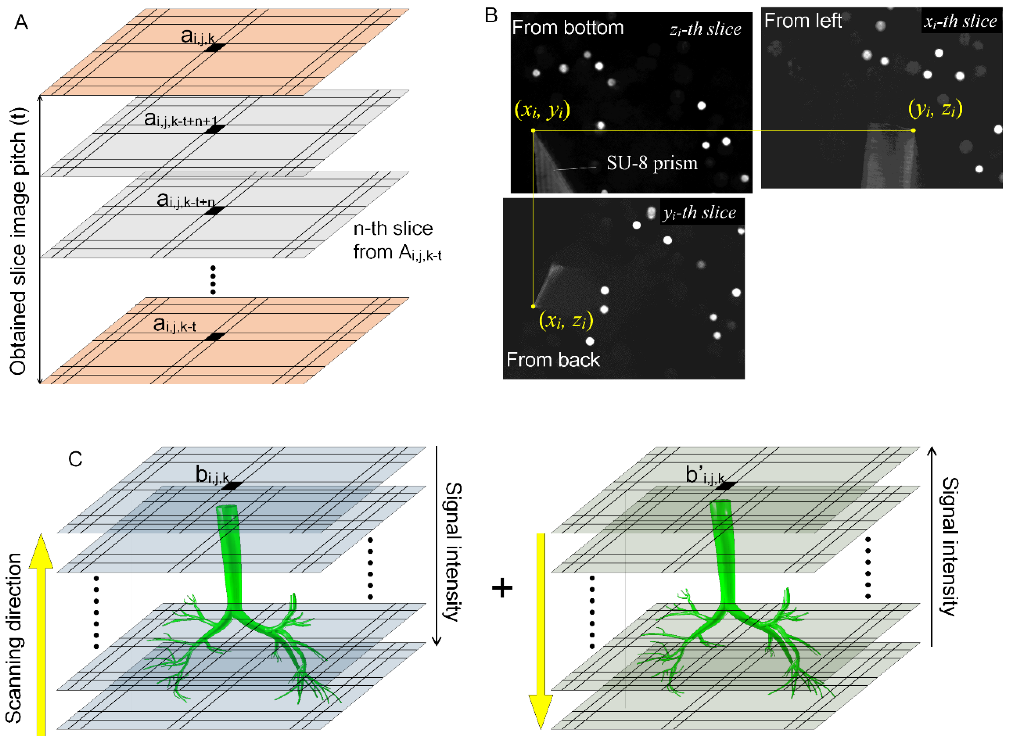 Applsci 08 00235 g0a1