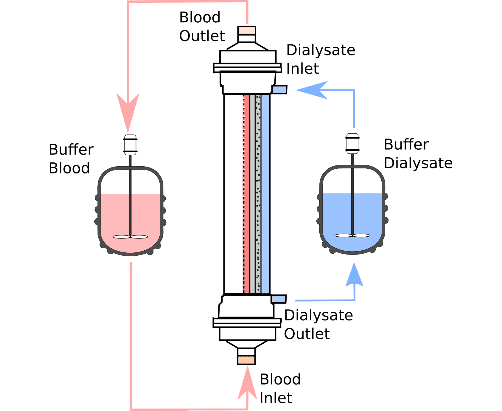 Applied Sciences Free FullText Evaluation of the ToxintoProtein