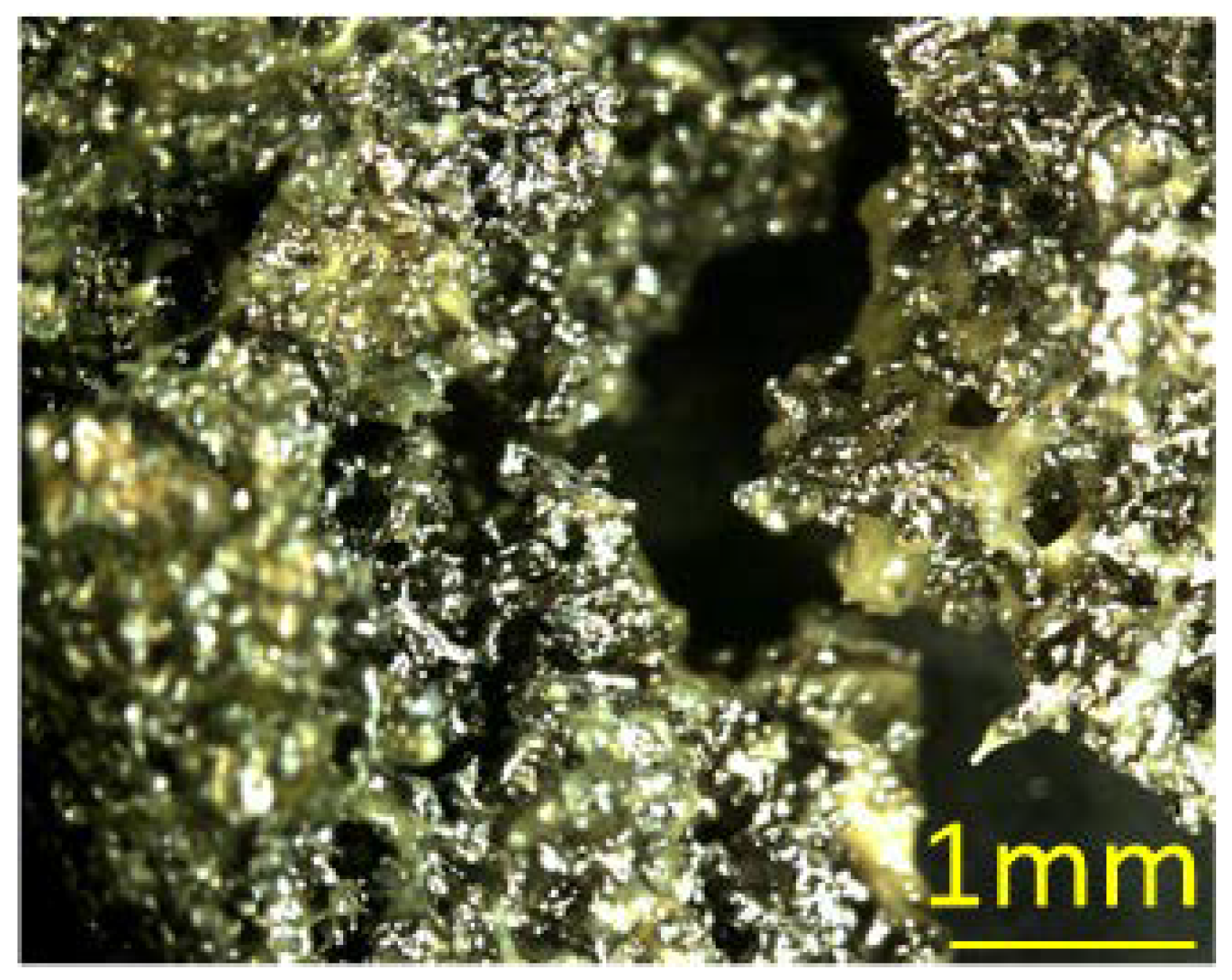 Applsci 08 00741 g010