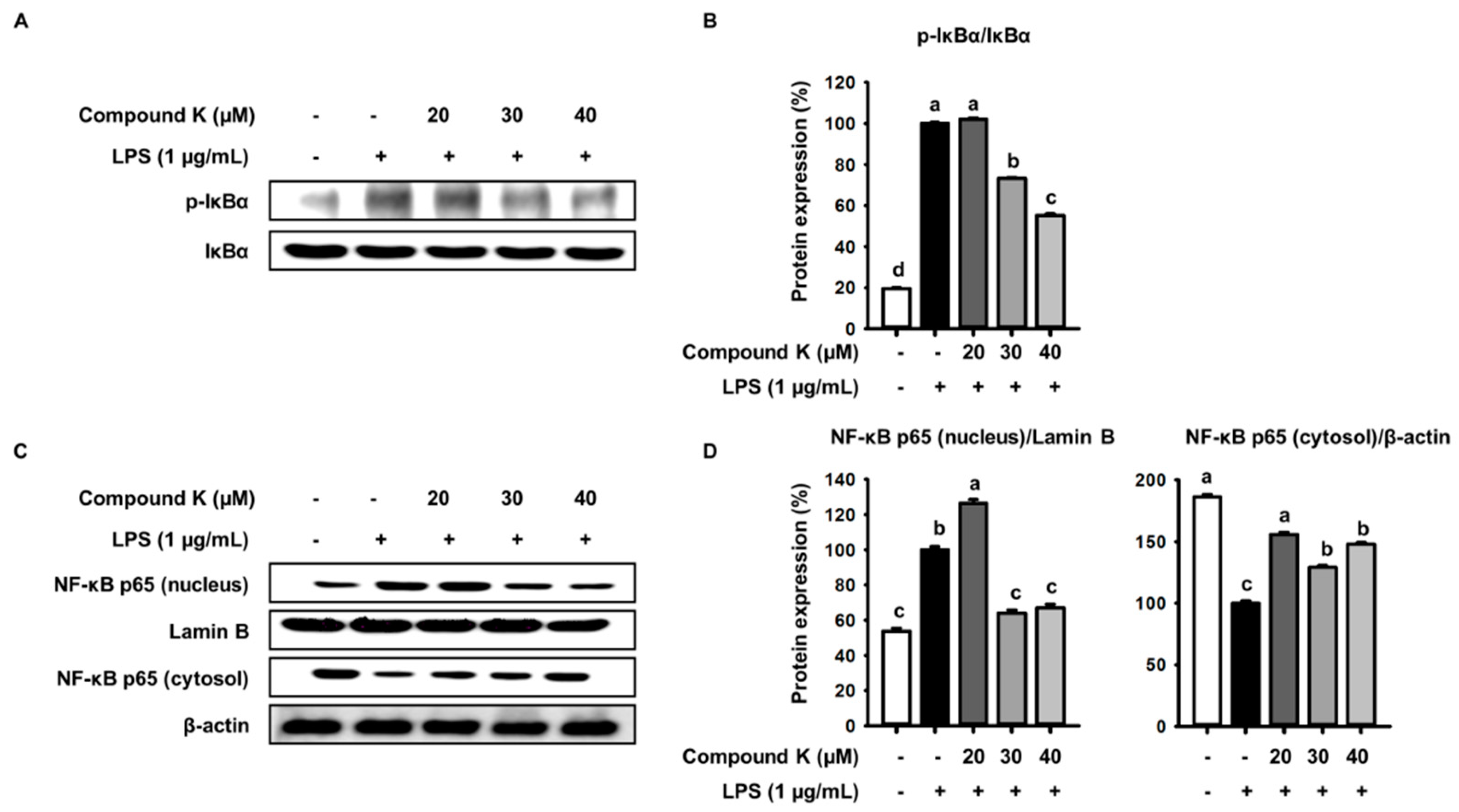 Applsci 08 00924 g004
