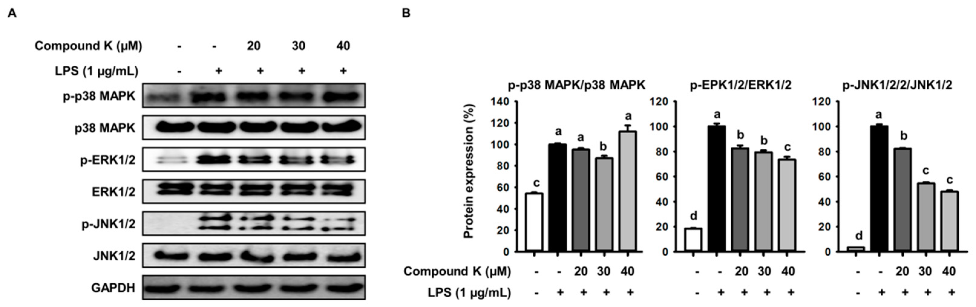 Applsci 08 00924 g005