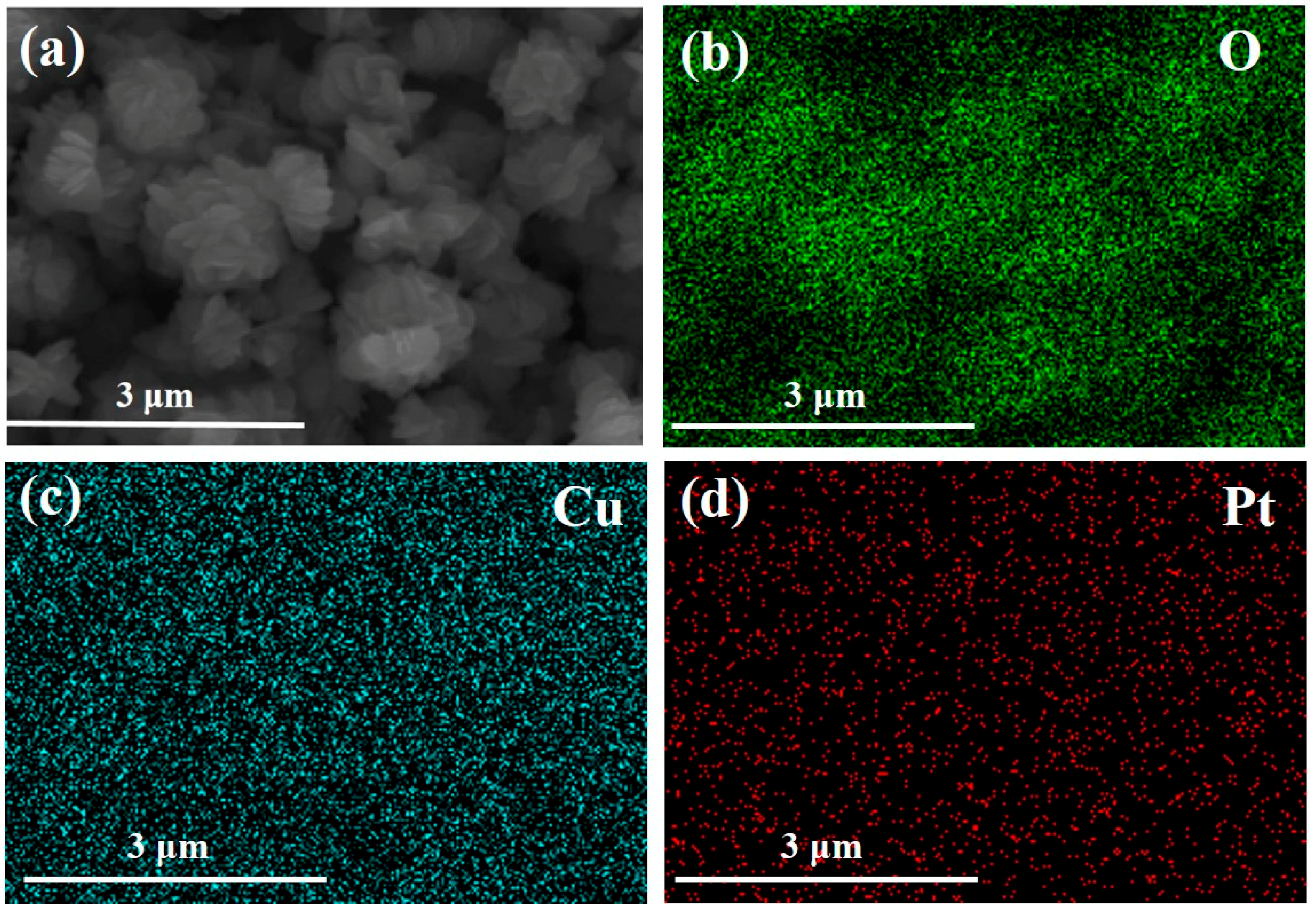 Applsci 08 01091 g004