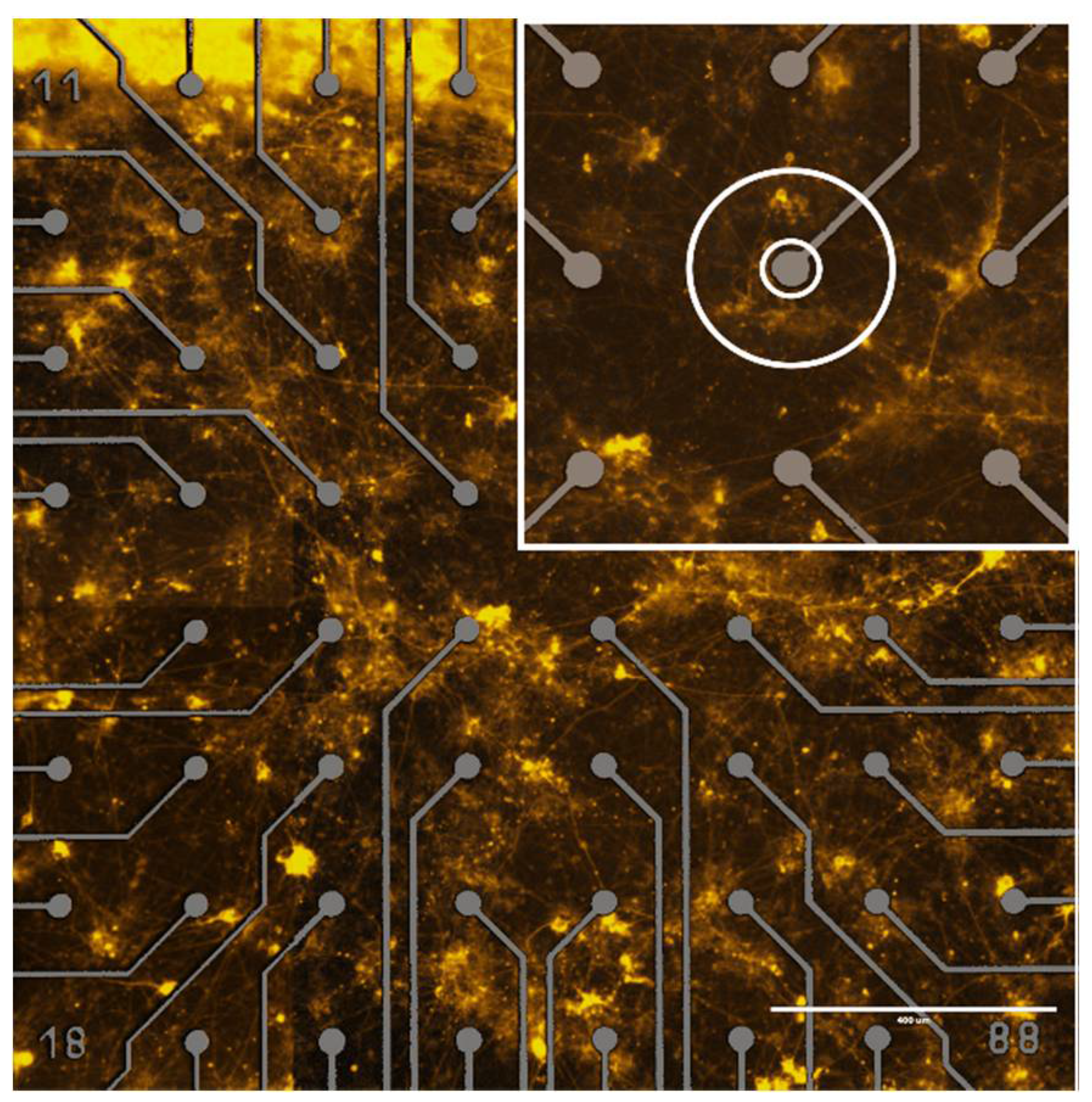 Applsci 08 01180 g004 Applsci 08 01180 g004