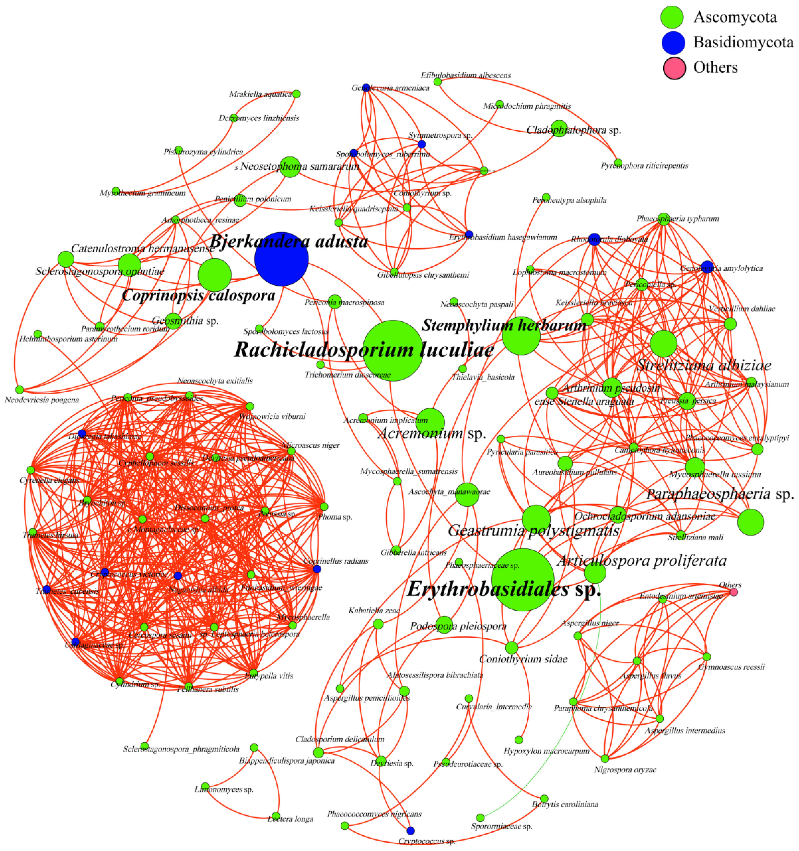 Applsci 08 01297 g006