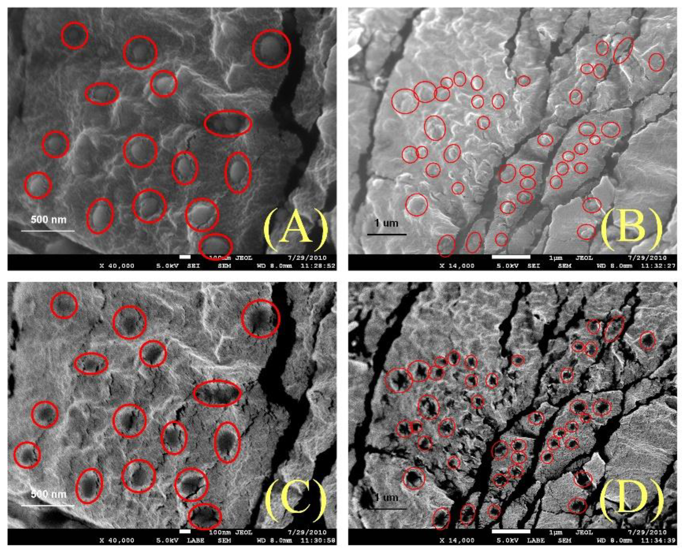 Applsci 08 01305 g008