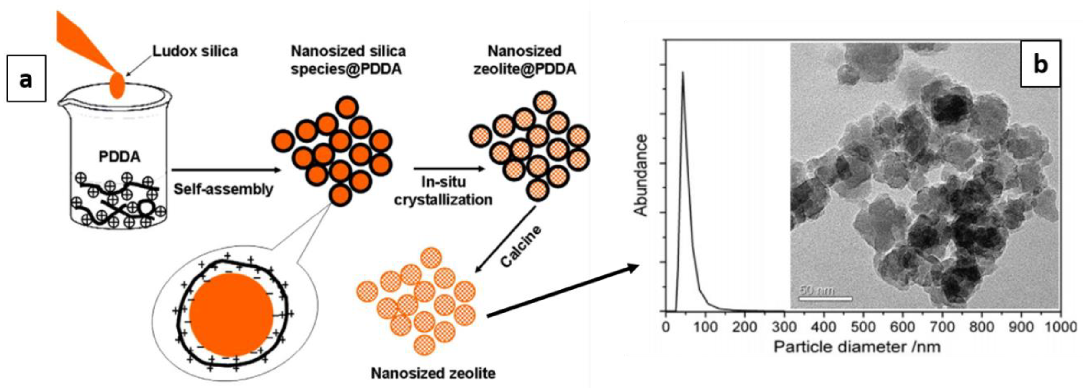 Applsci 08 01636 g010