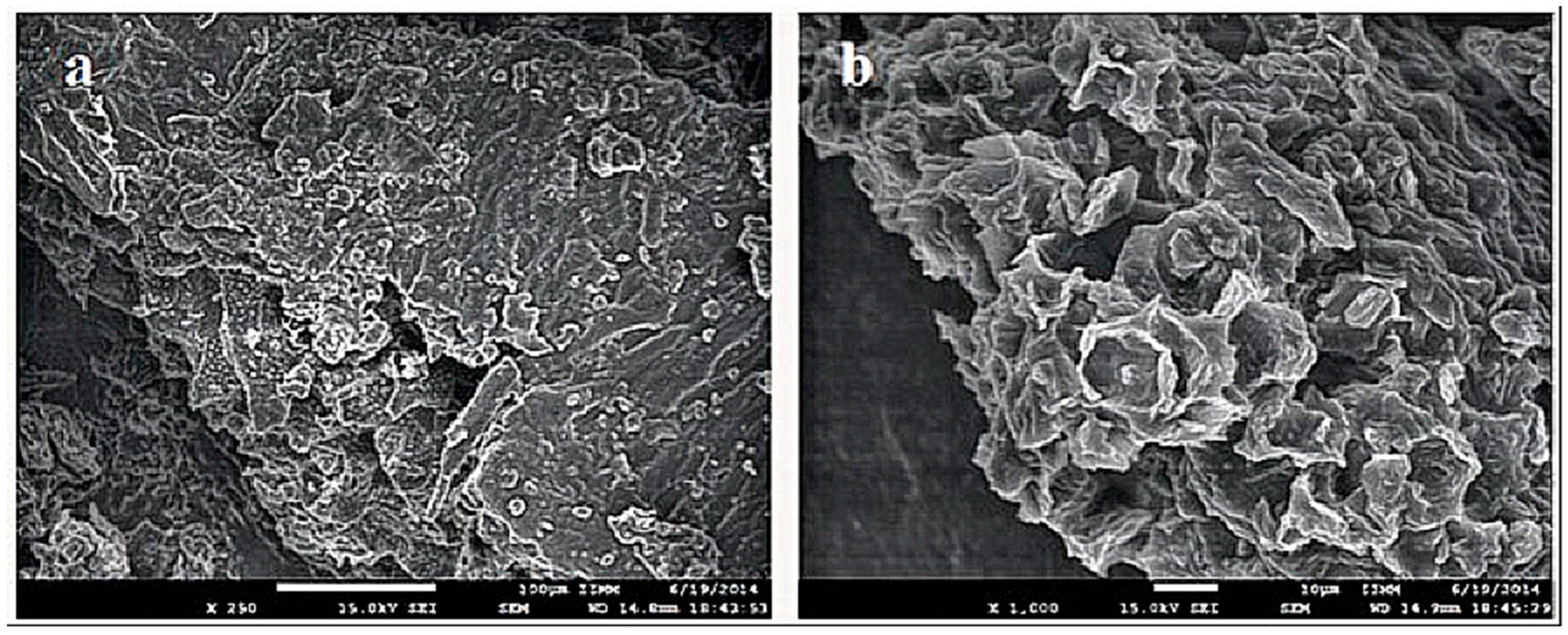 Applsci 08 01807 g001a