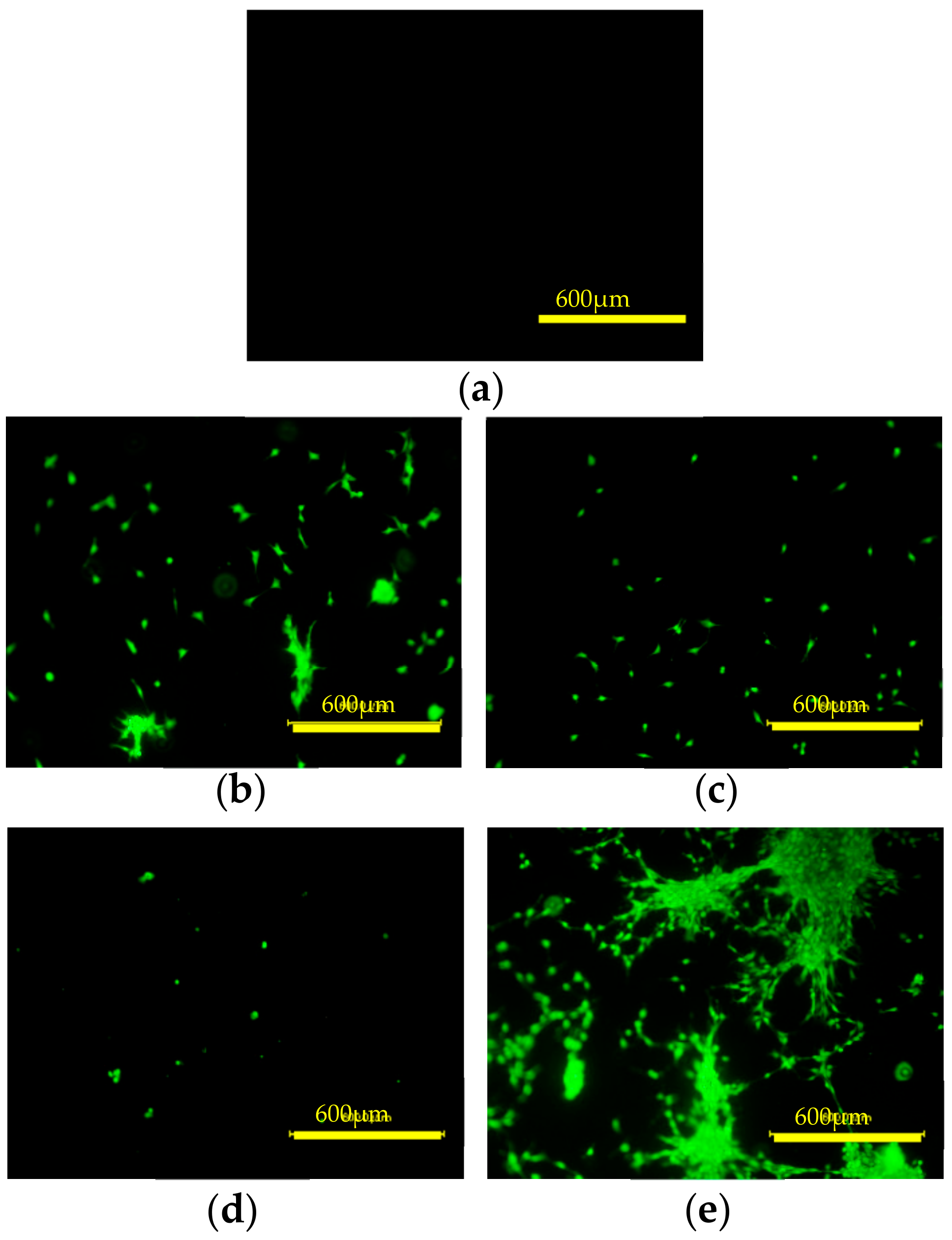 Applsci 08 02272 g010
