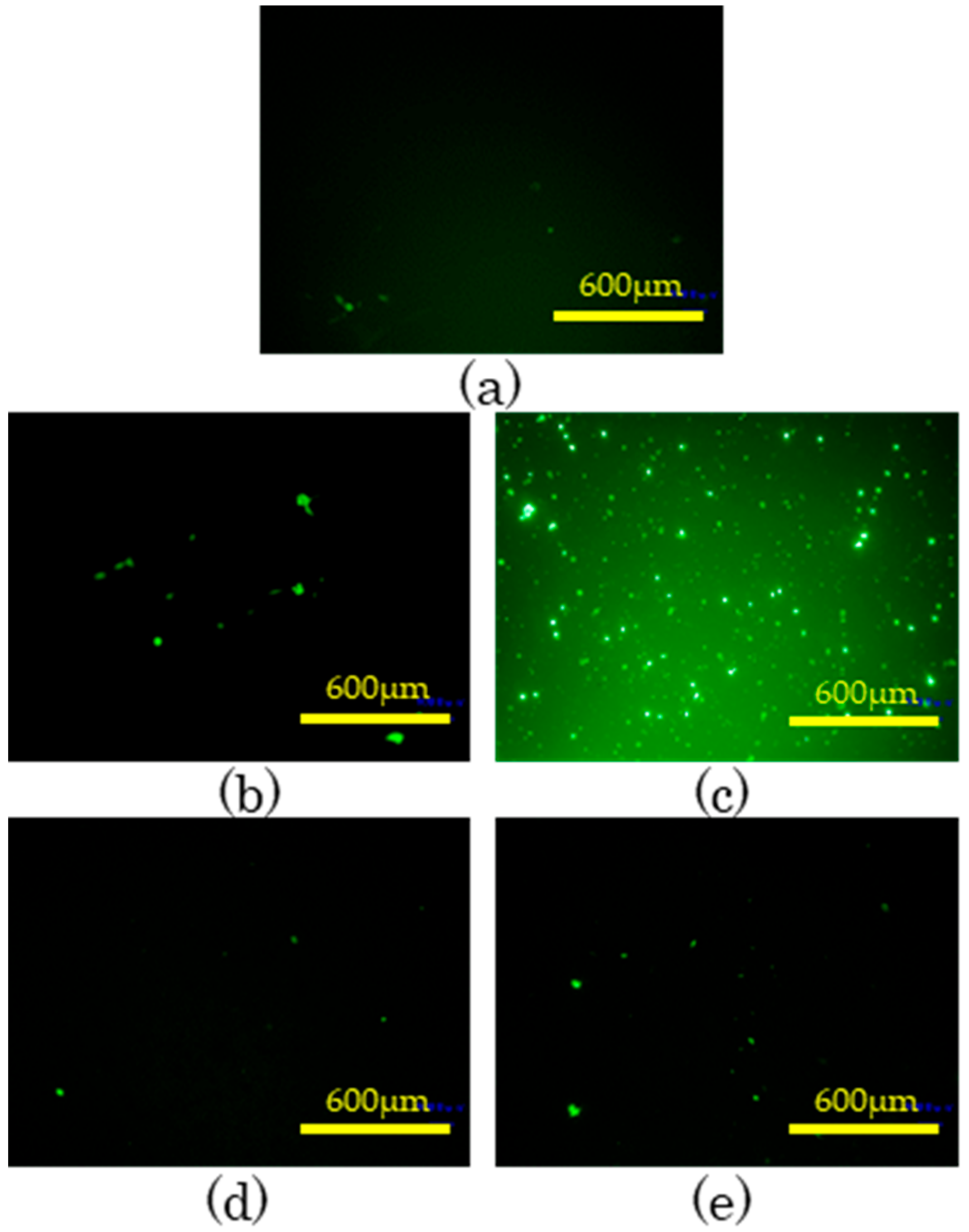 Applsci 08 02272 g012