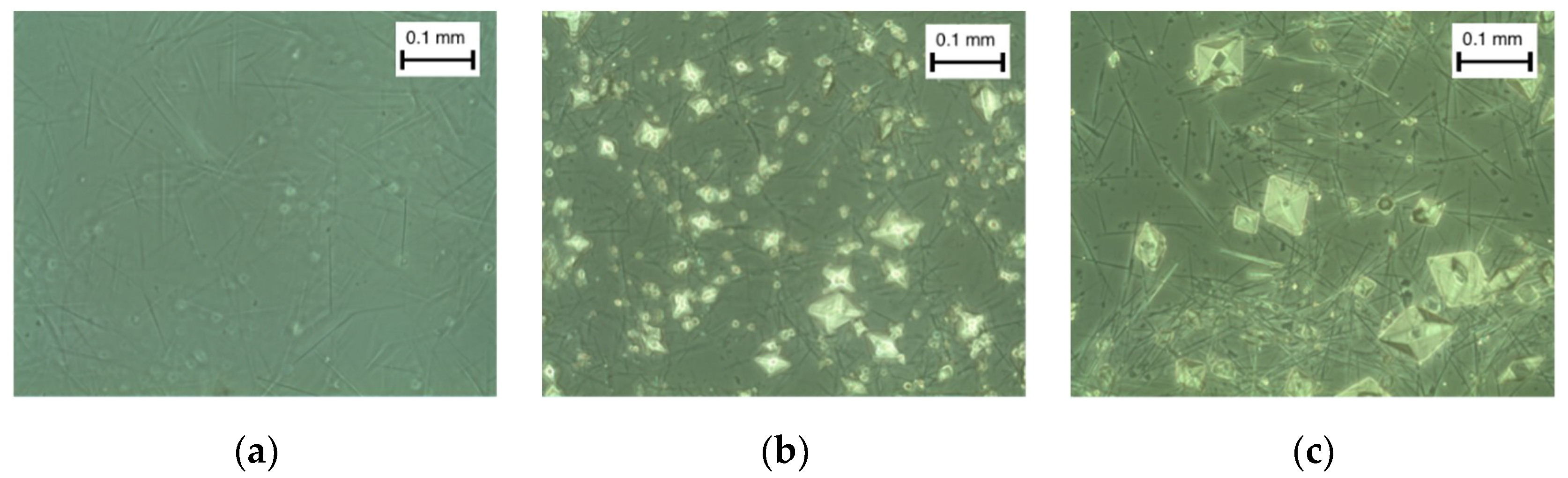 Applsci 09 00287 g006