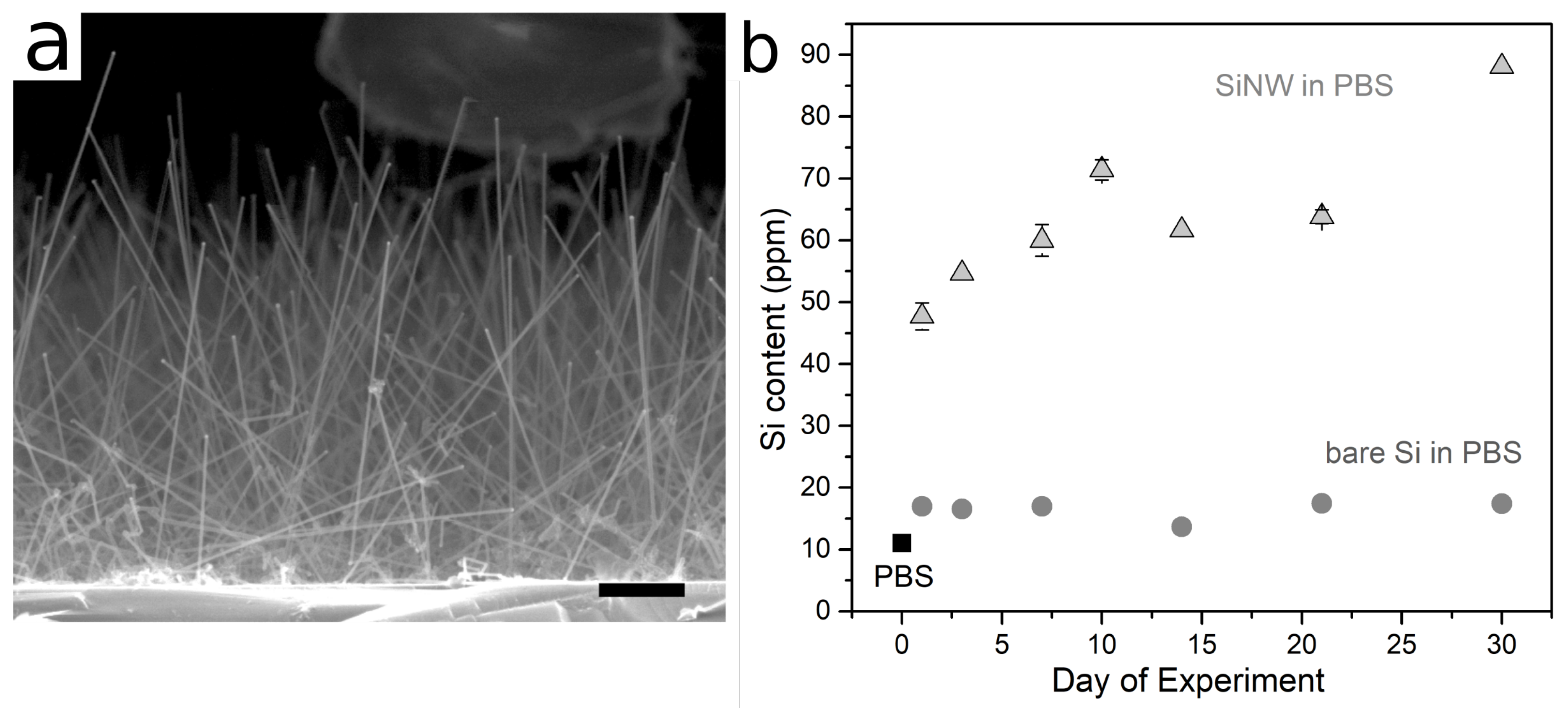 Applsci 09 00804 g001