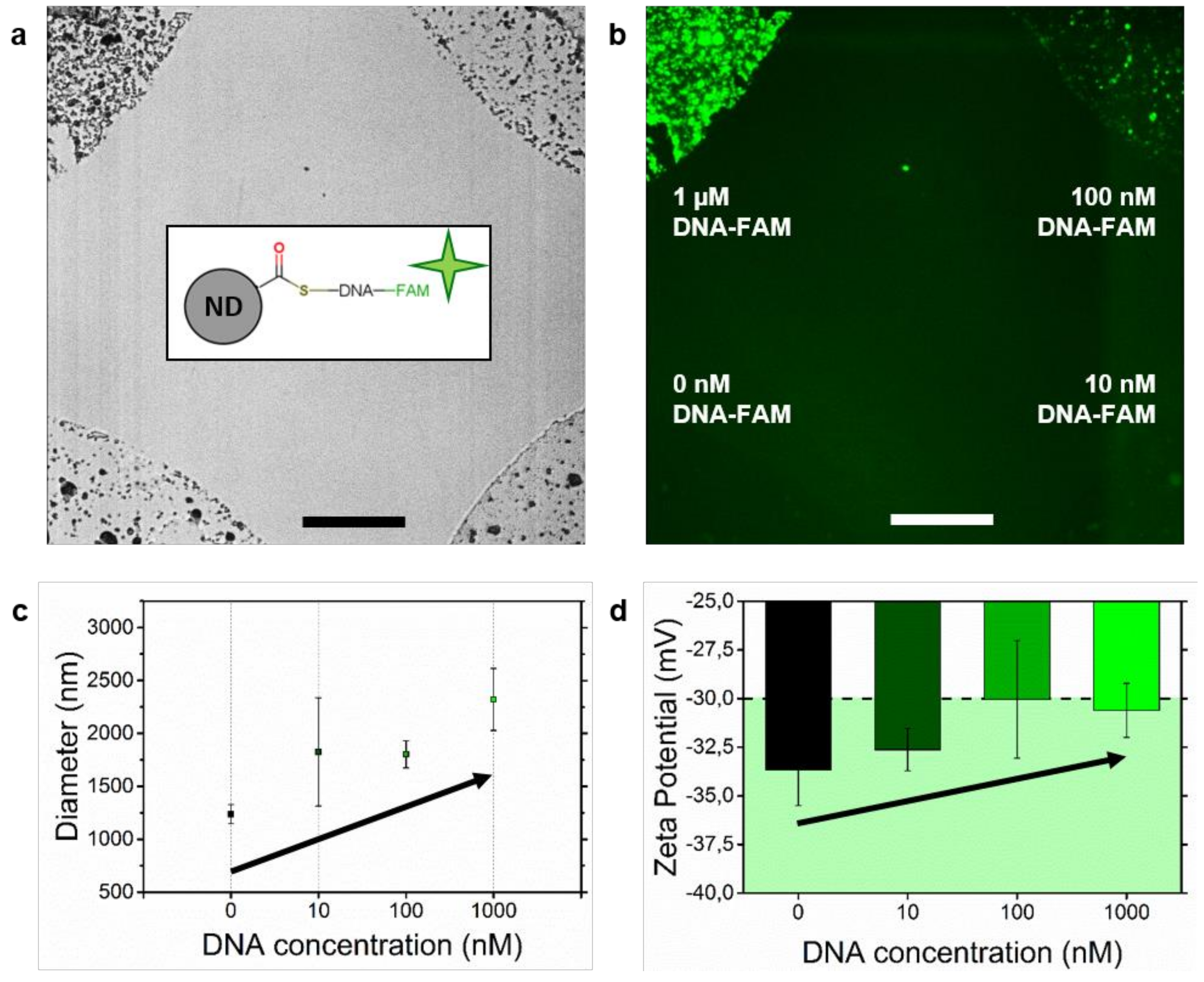 Applsci 09 01064 g004