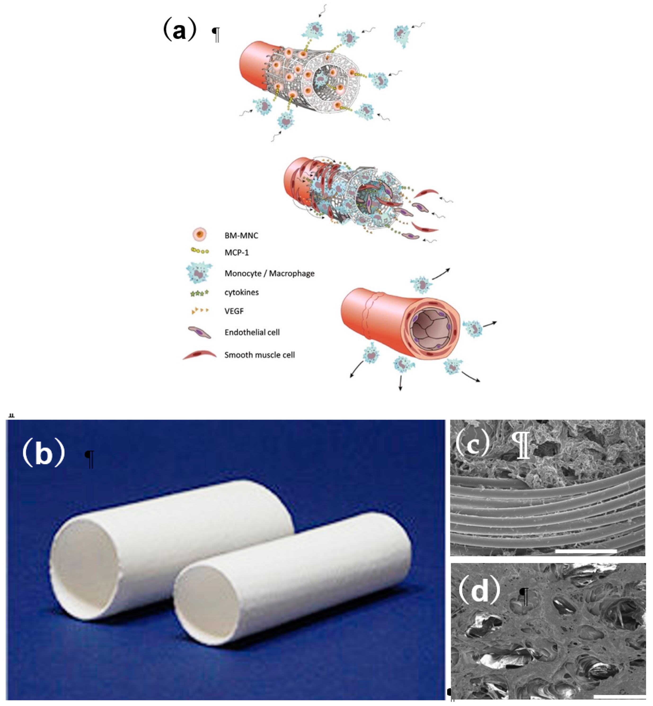 Applsci 09 01274 g002