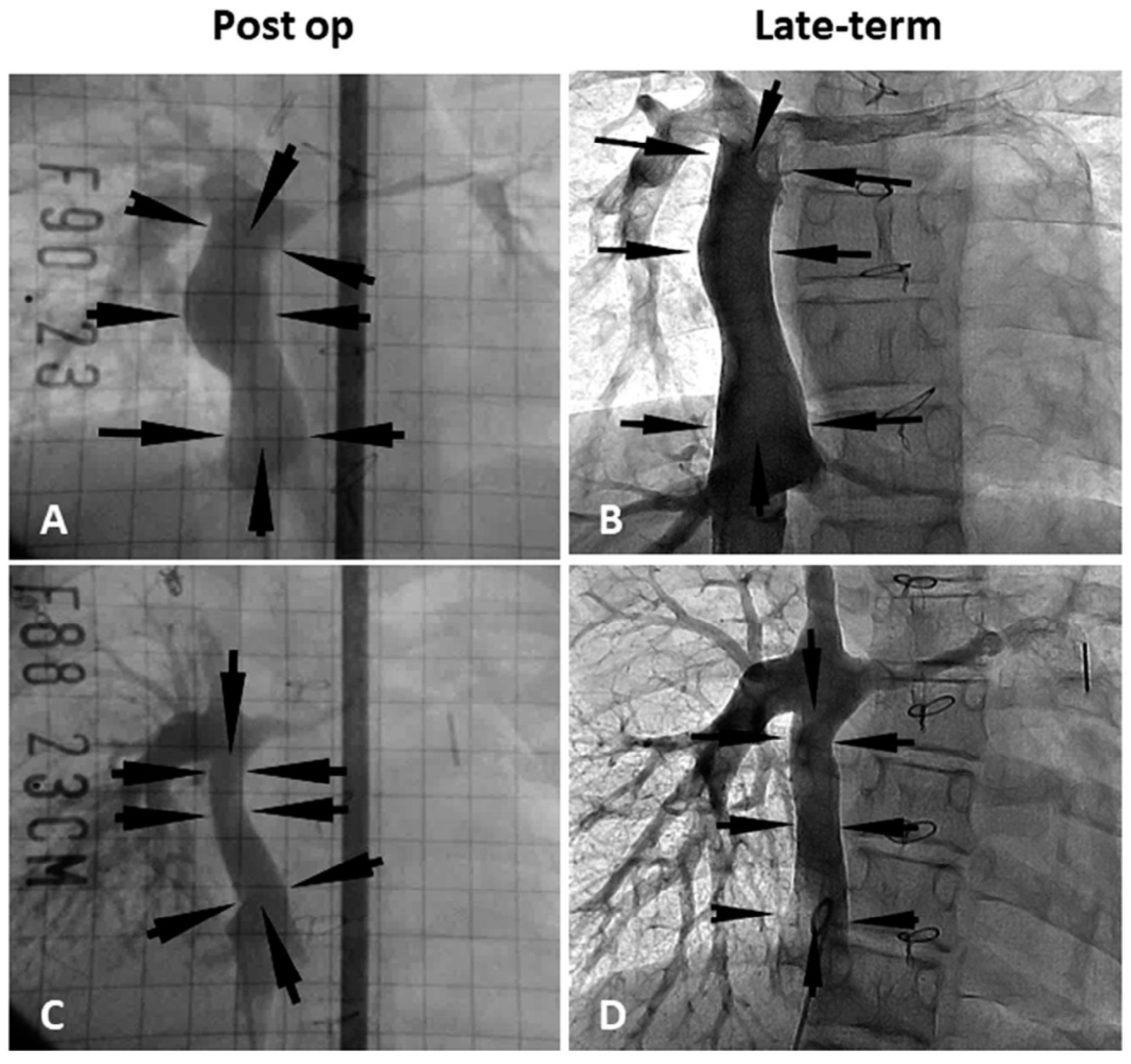Applsci 09 01274 g003