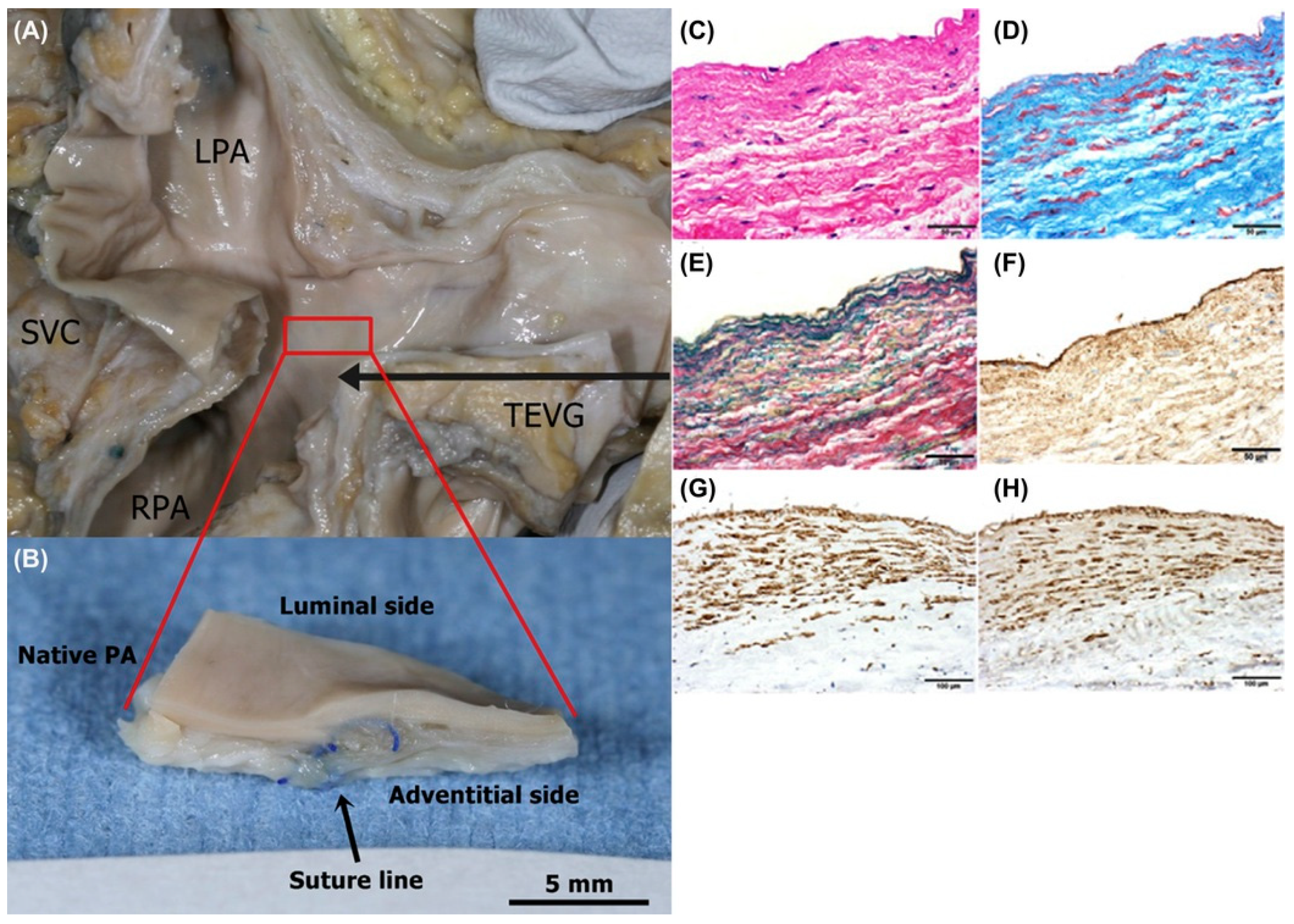 Applsci 09 01274 g004