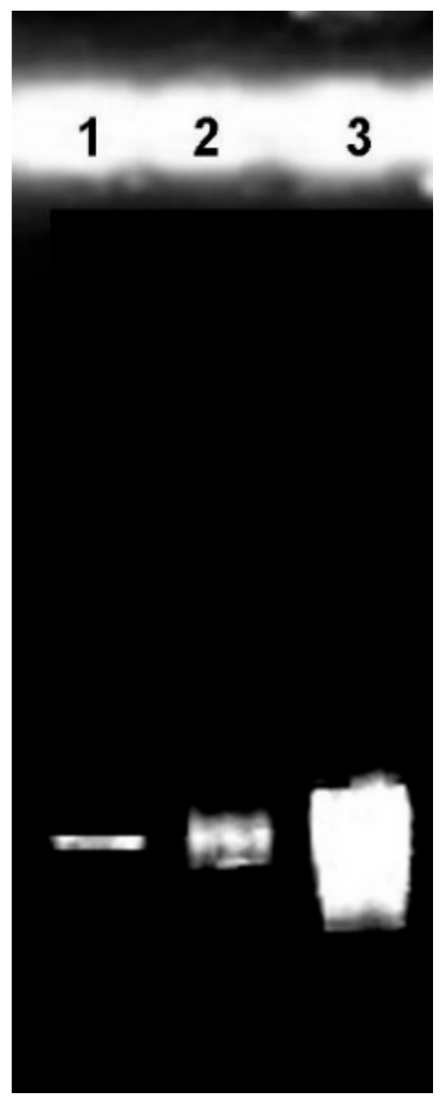 Applsci 09 01933 g003