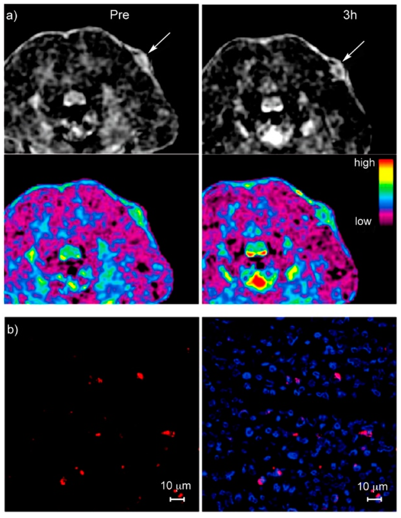 Applsci 09 02927 g010