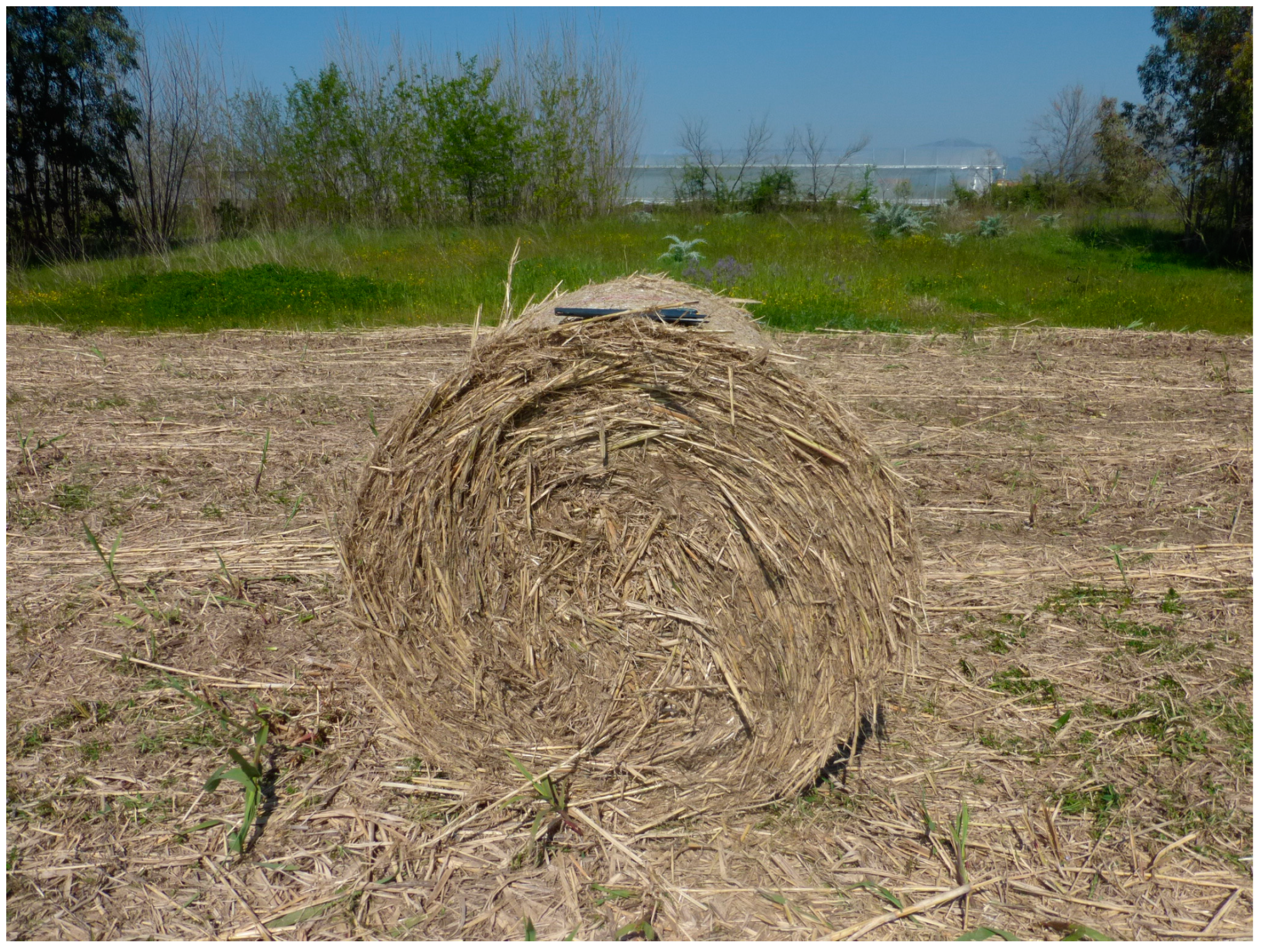 Applsci 09 05425 g005 Applsci 09 05425 g005