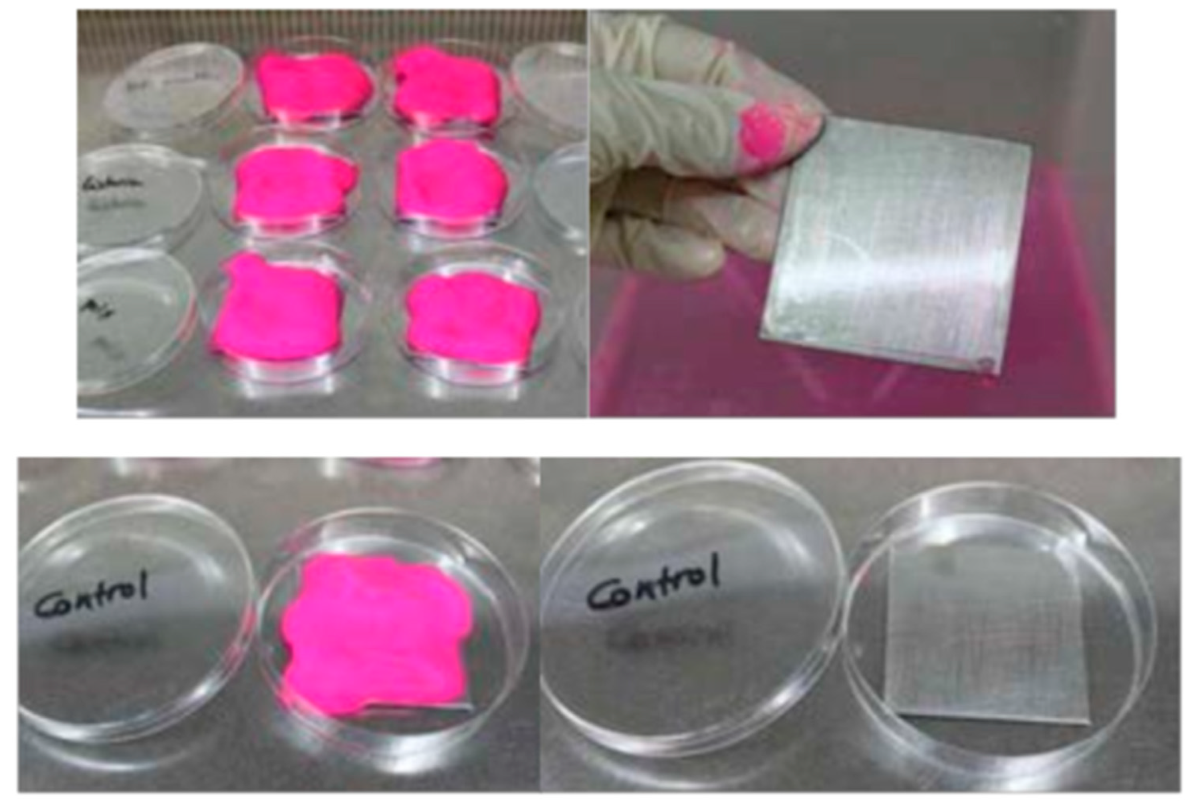 Applsci 10 00744 g007 Applsci 10 00744 g007