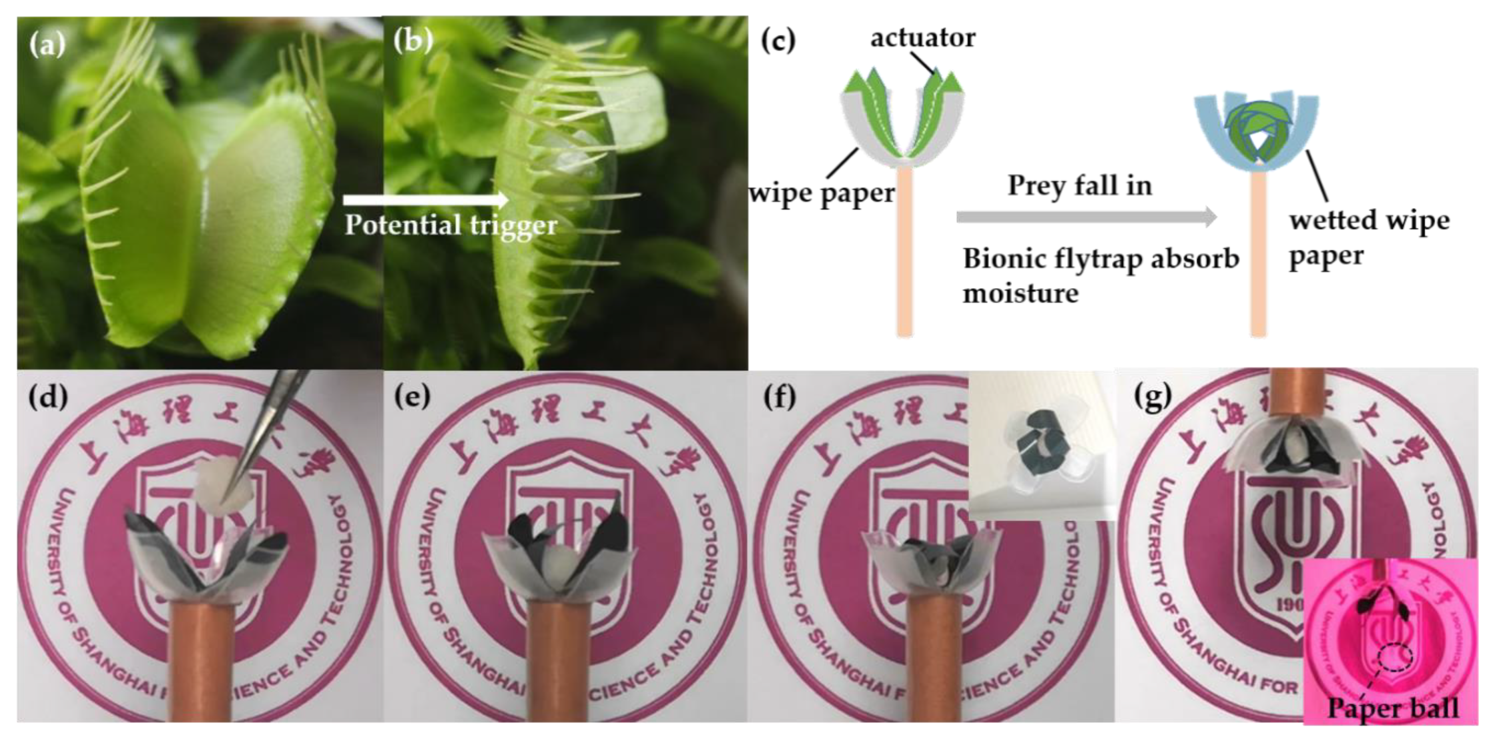 Applsci 10 01829 g007