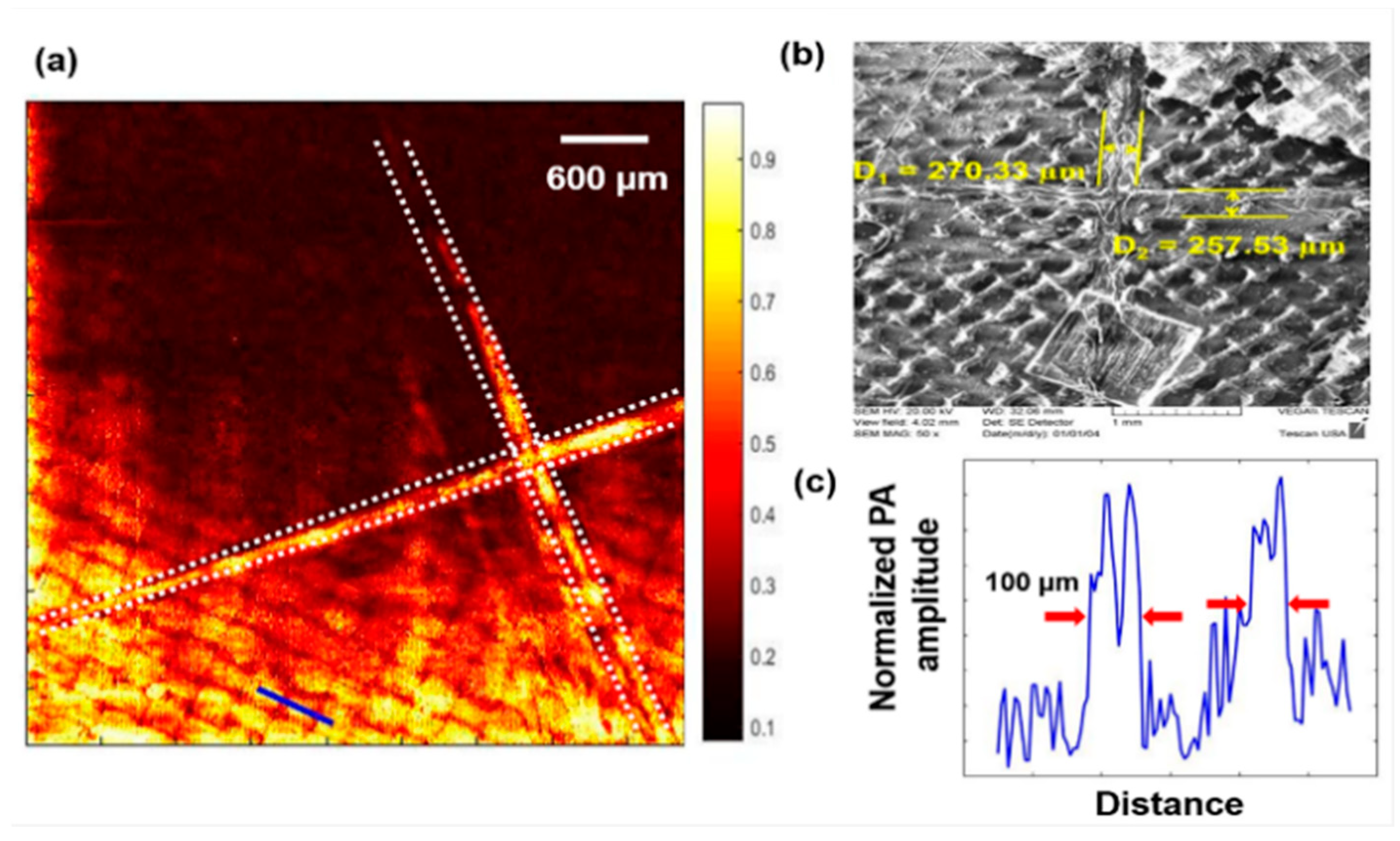 Applsci 10 02106 g003