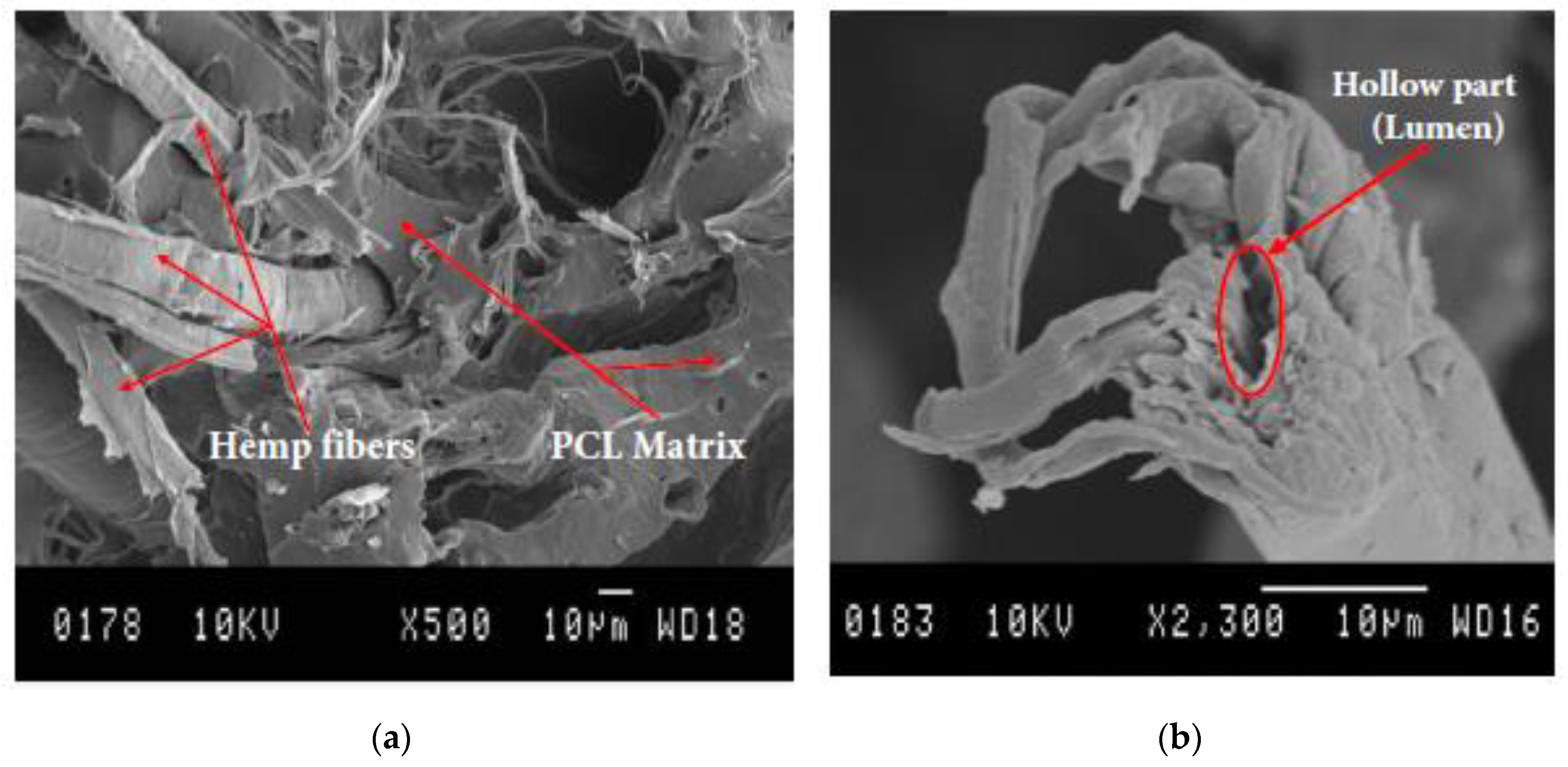 Applsci 10 02636 g008