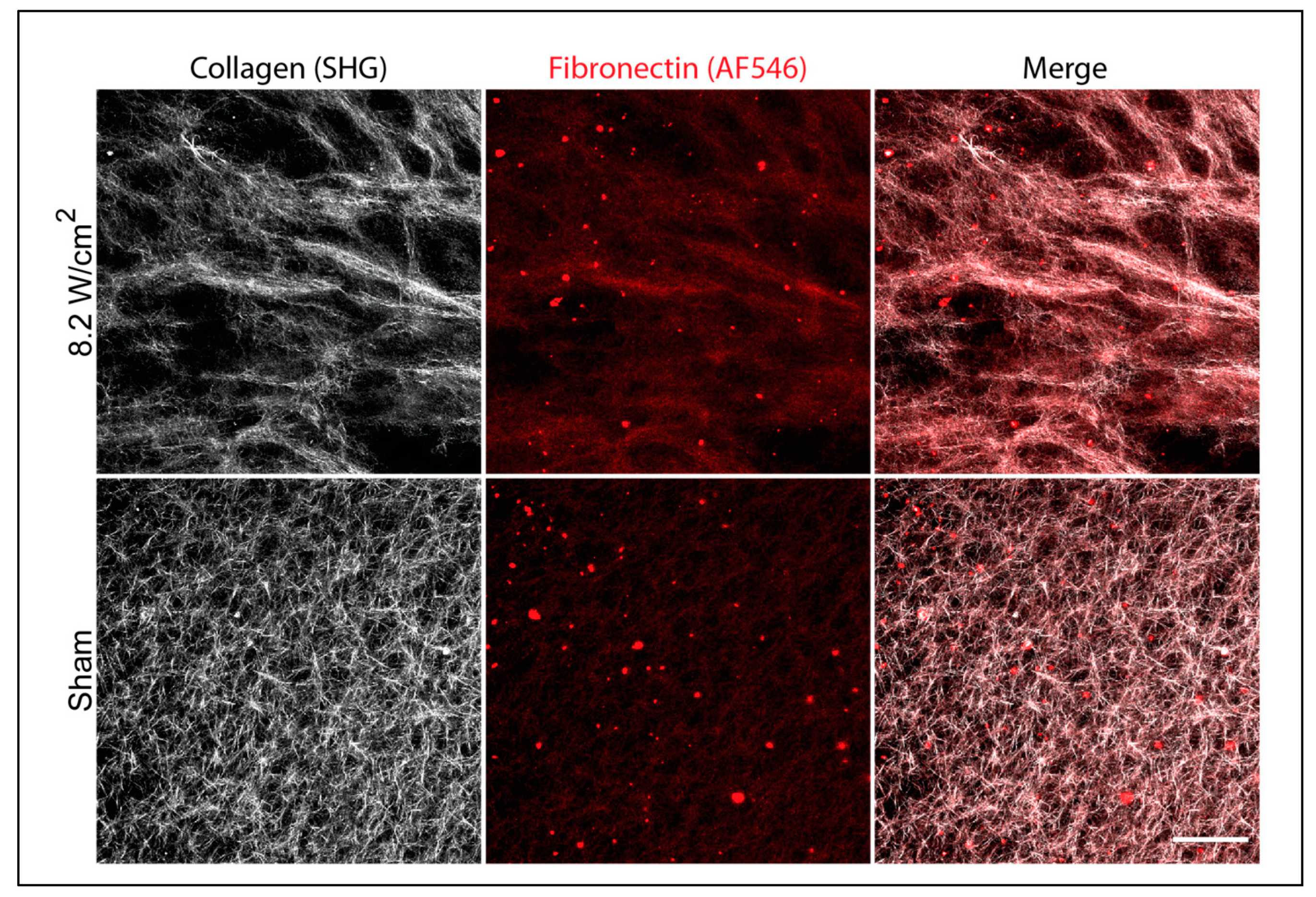 Applsci 10 02907 g001