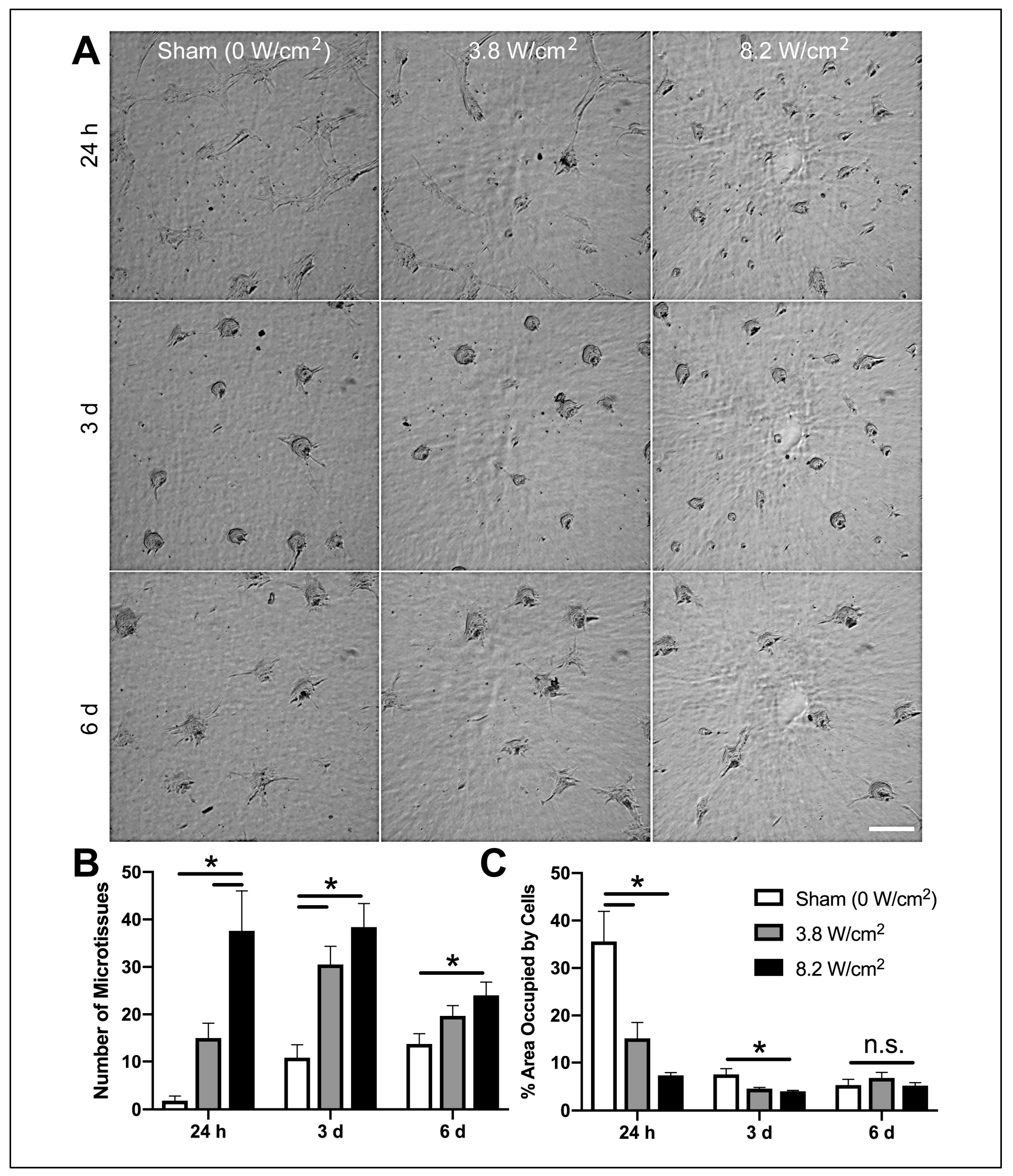 Applsci 10 02907 g002