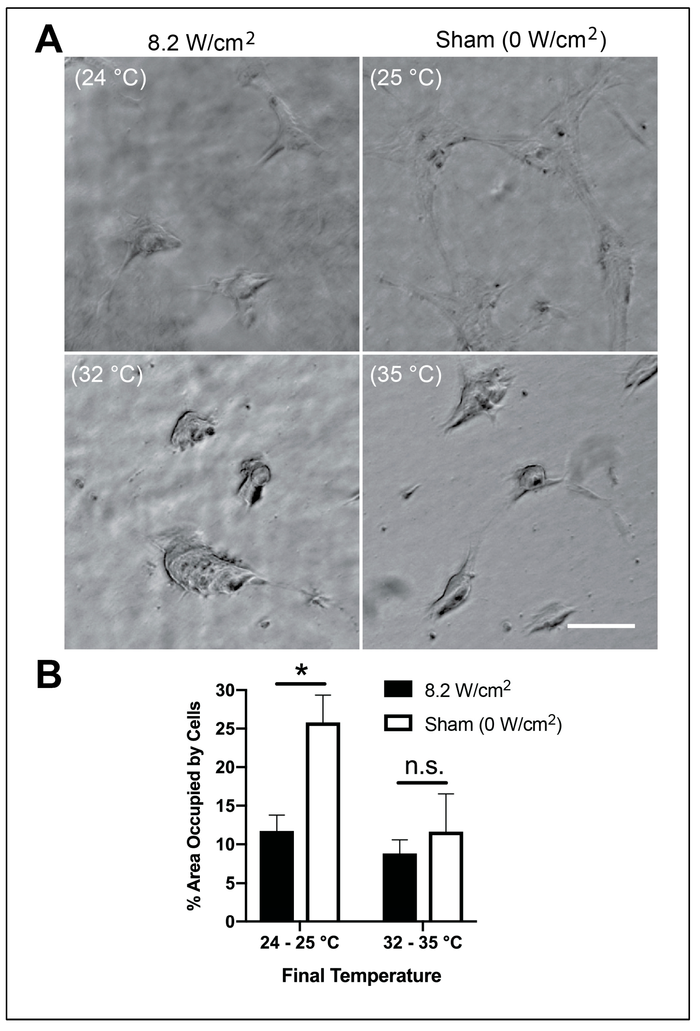 Applsci 10 02907 g005
