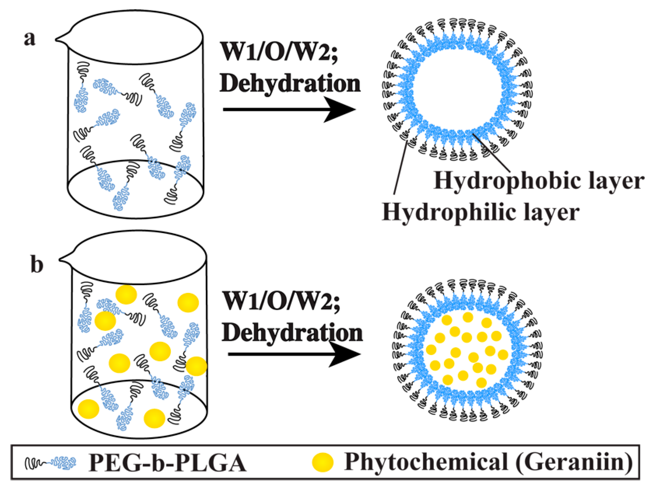 Applsci 10 04891 g001