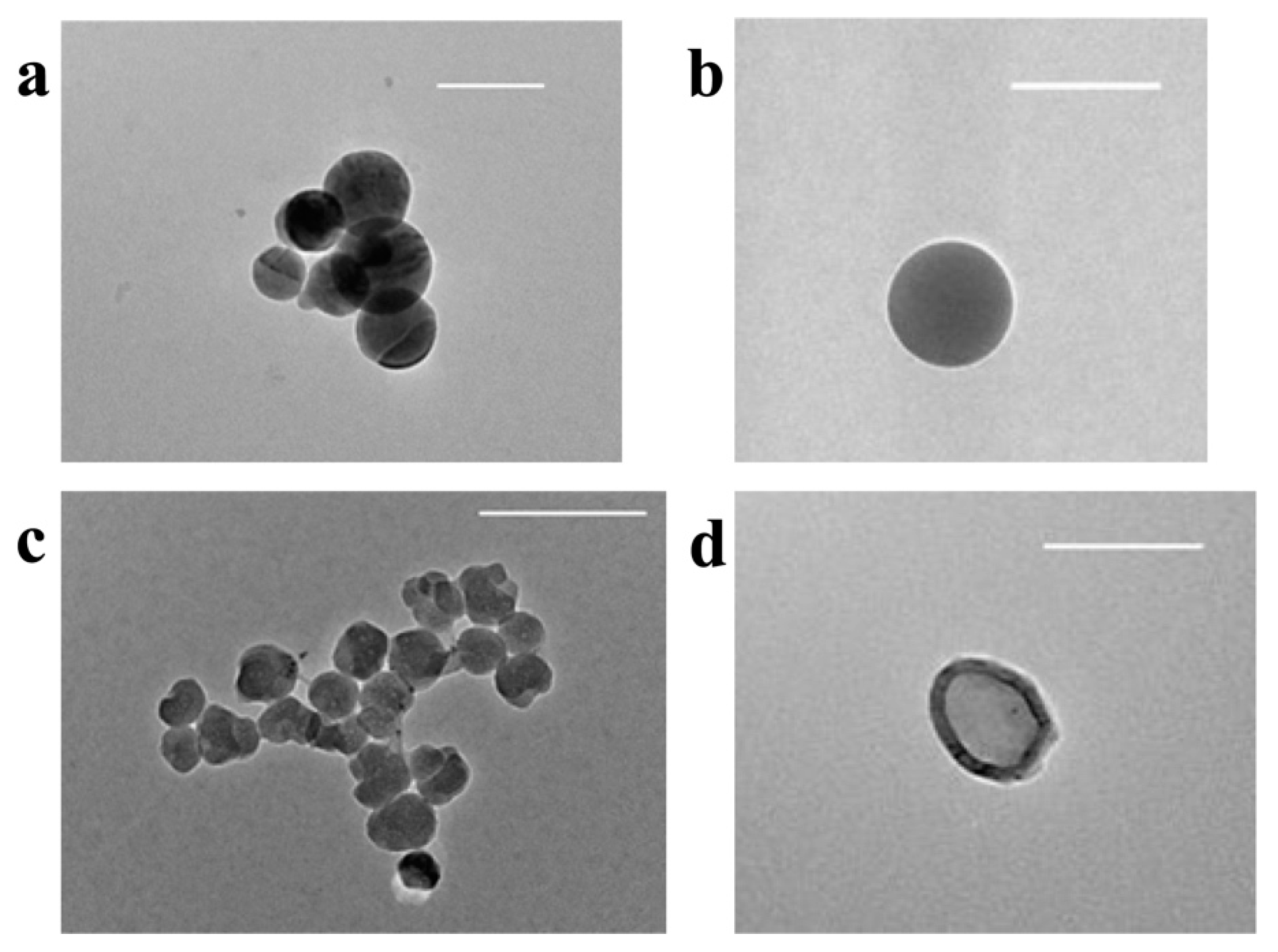 Applsci 10 04891 g002