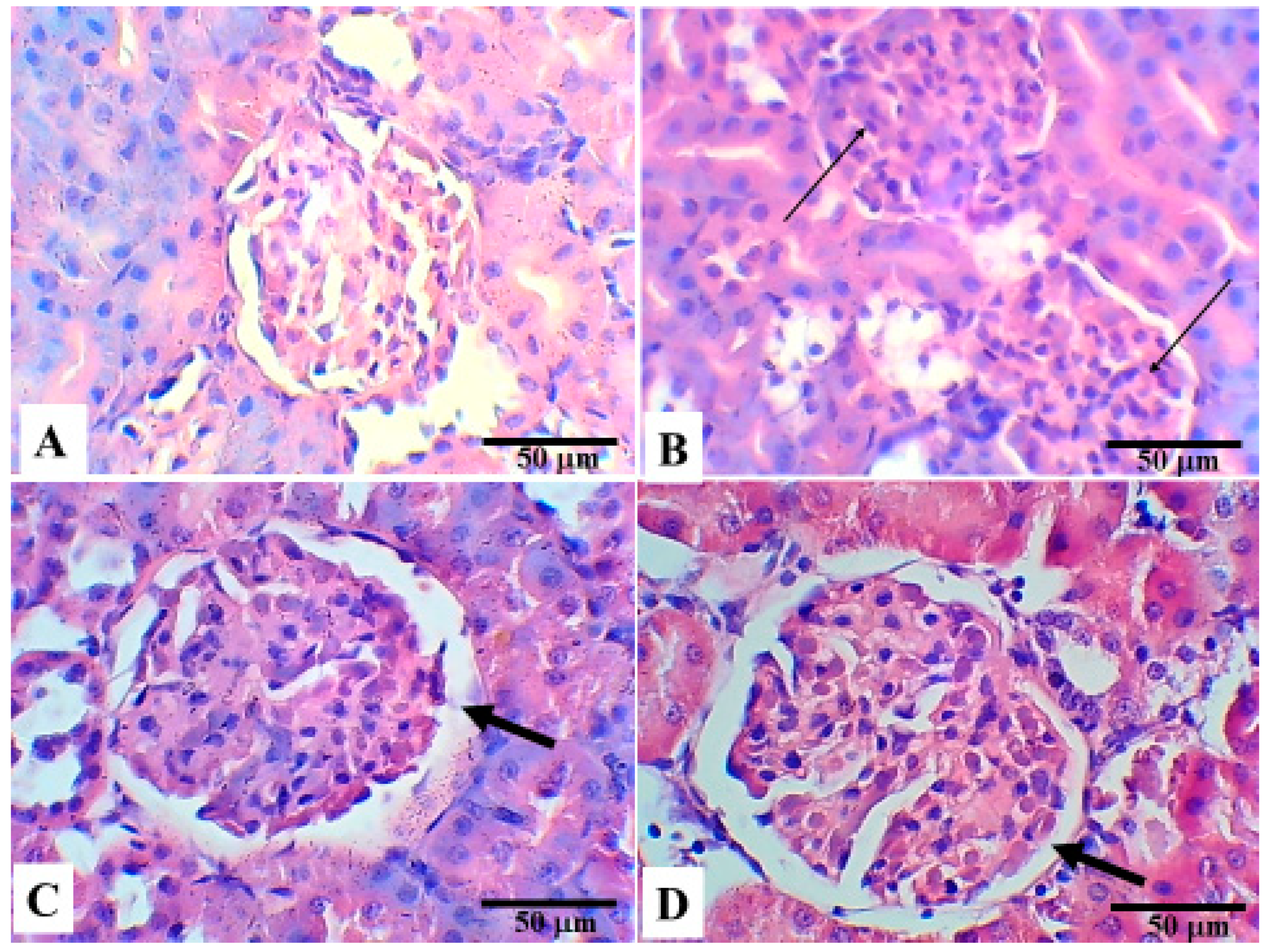 Applsci 11 03981 g001