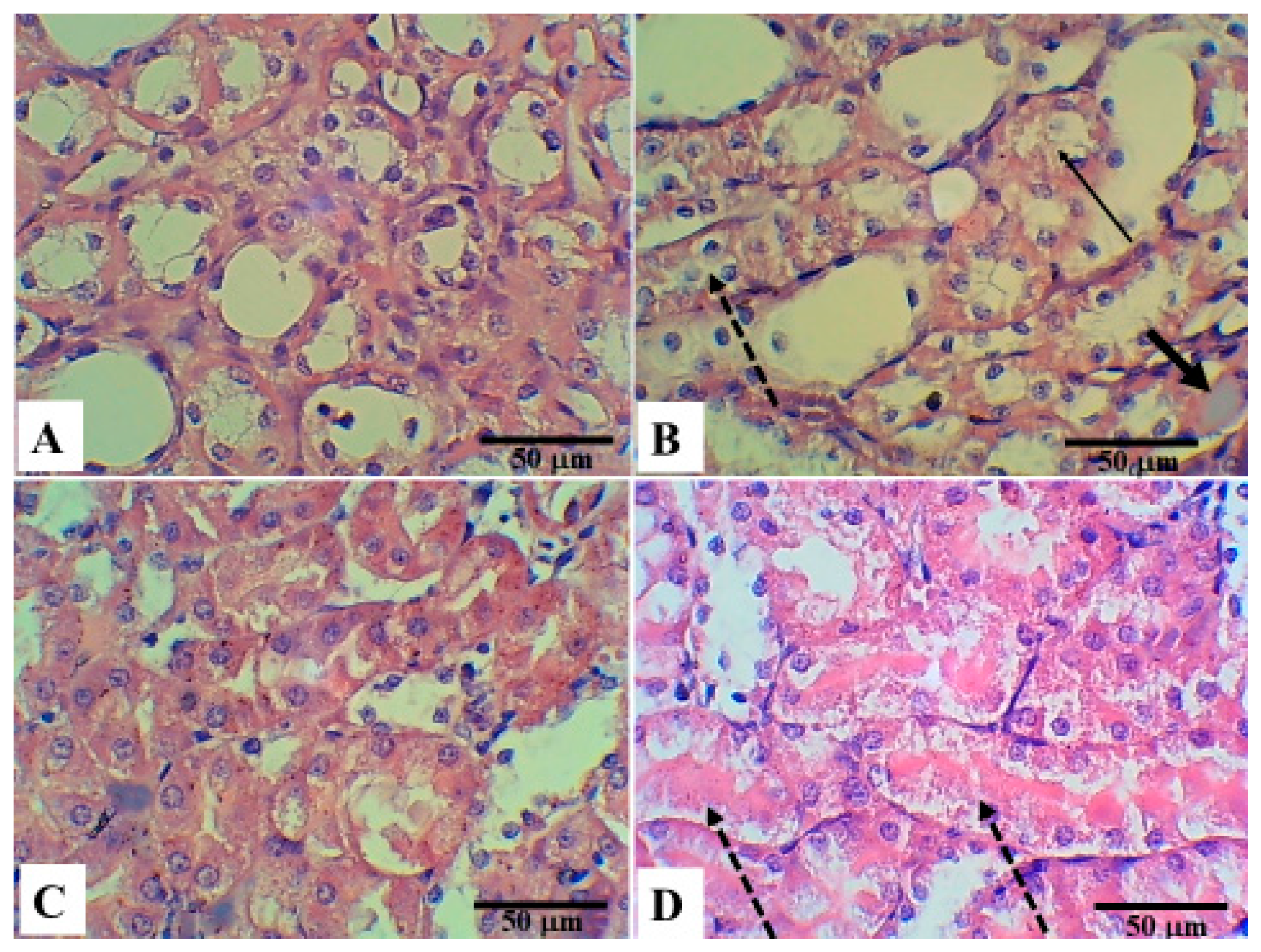 Applsci 11 03981 g002