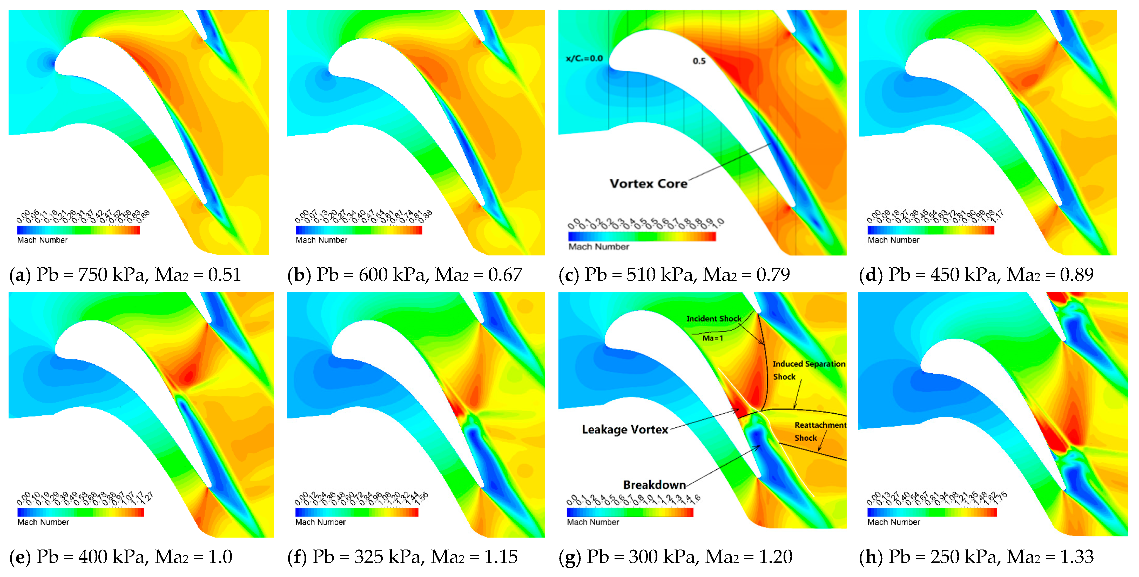 Applsci 11 04991 g011