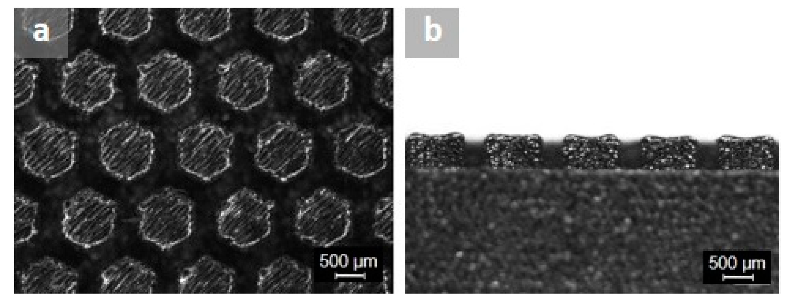 Applsci 11 09317 g003