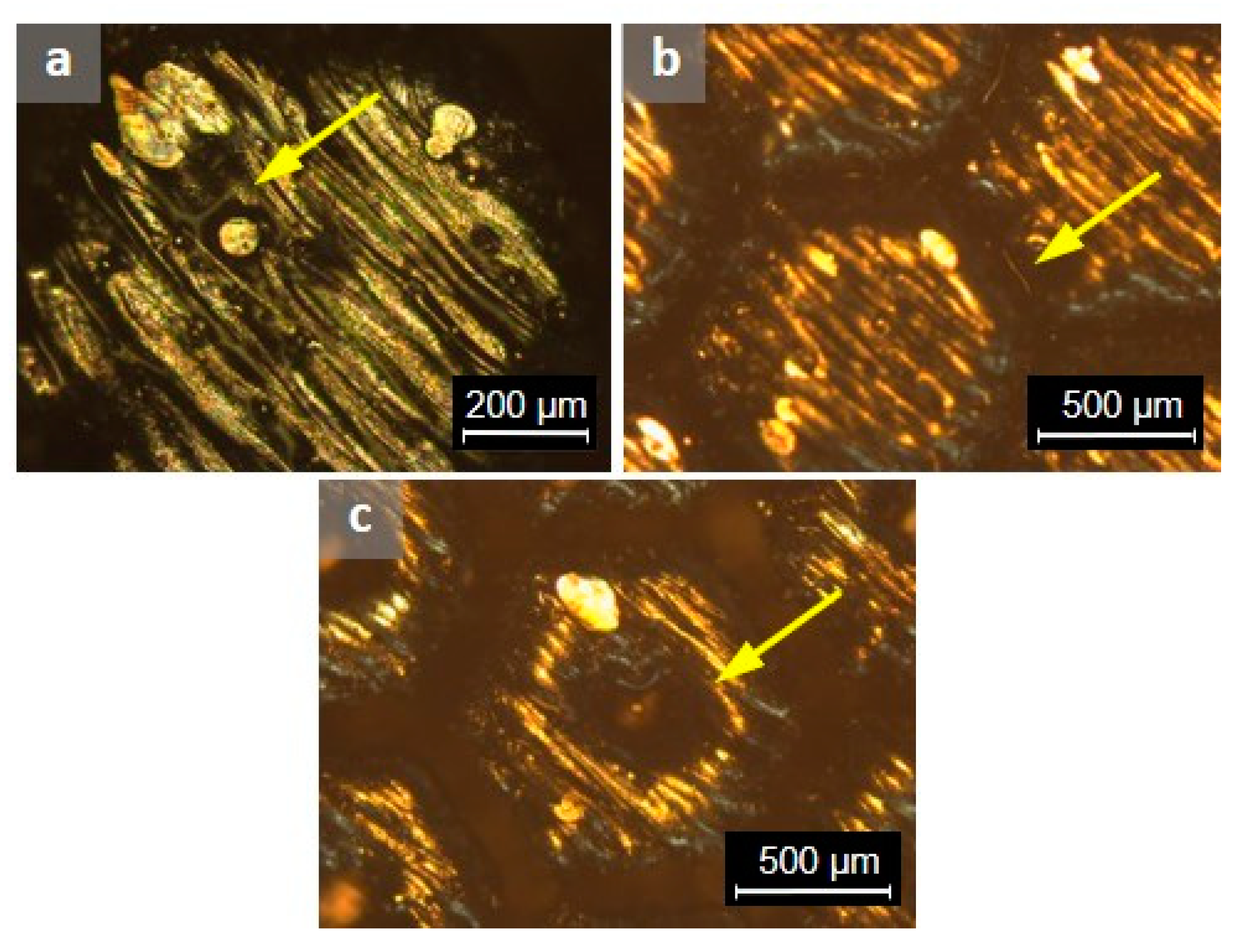 Applsci 11 09317 g014