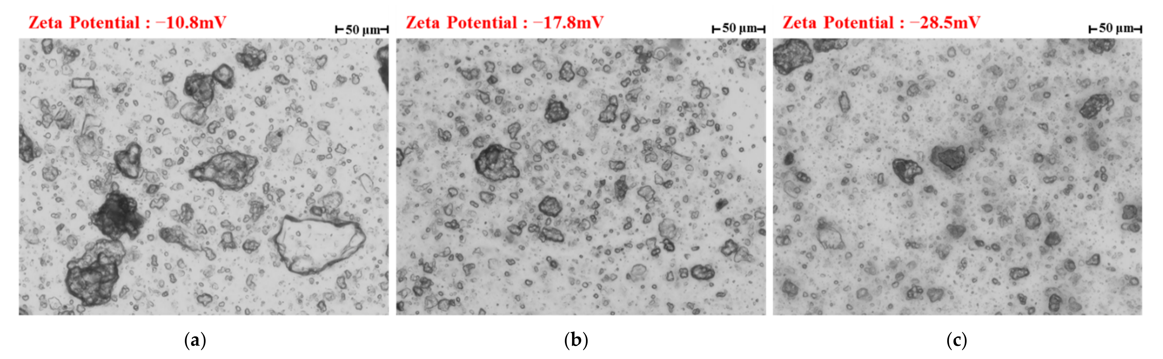 Applsci 11 12126 g013