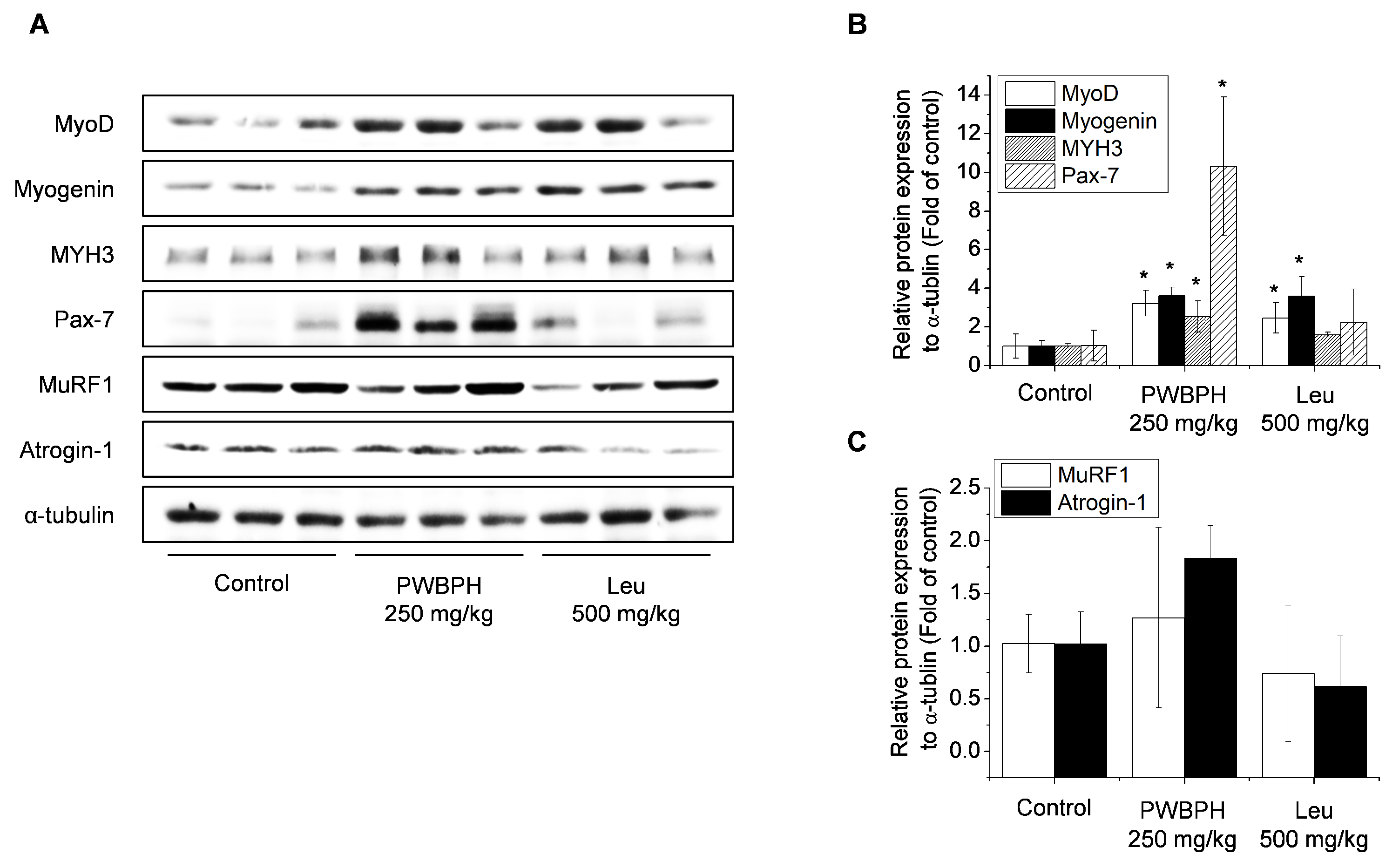 Applsci 12 00017 g002