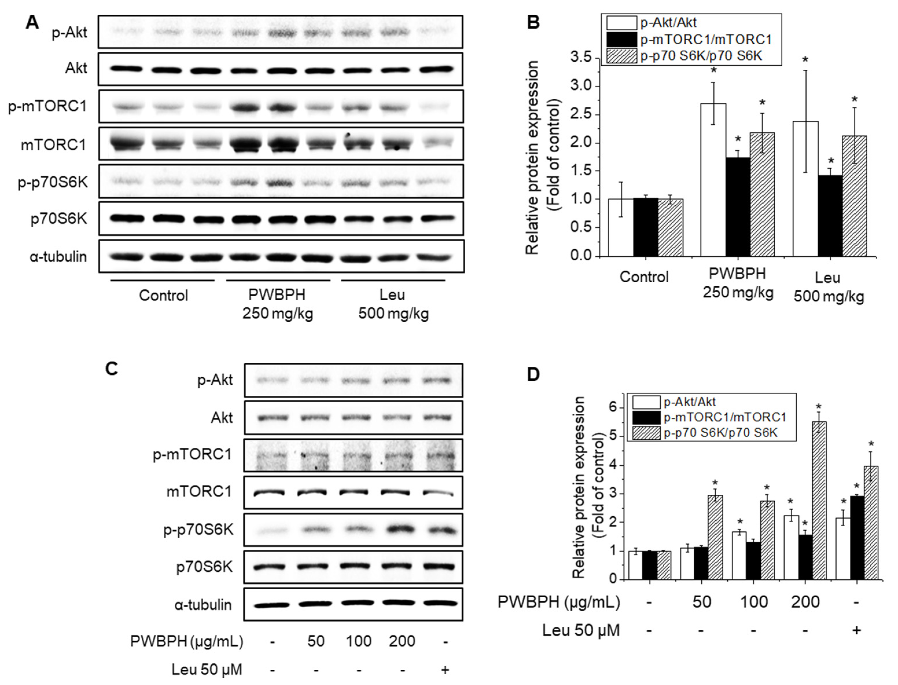 Applsci 12 00017 g004