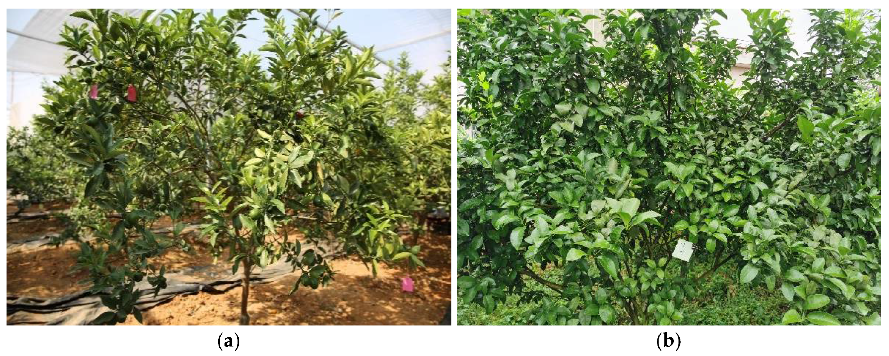 Applsci 12 06600 g001a