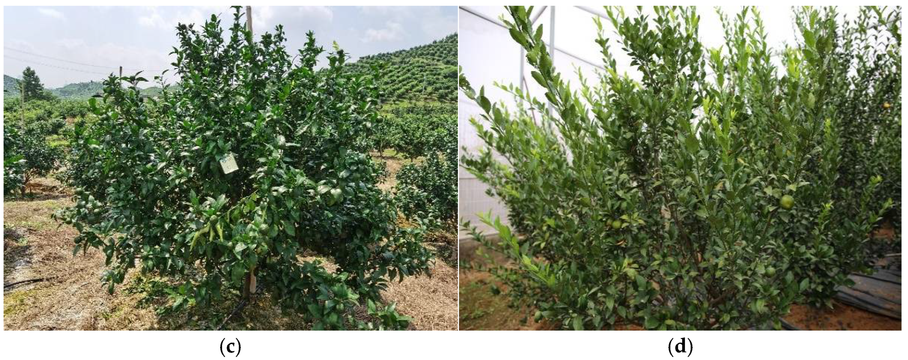 Applsci 12 06600 g001b