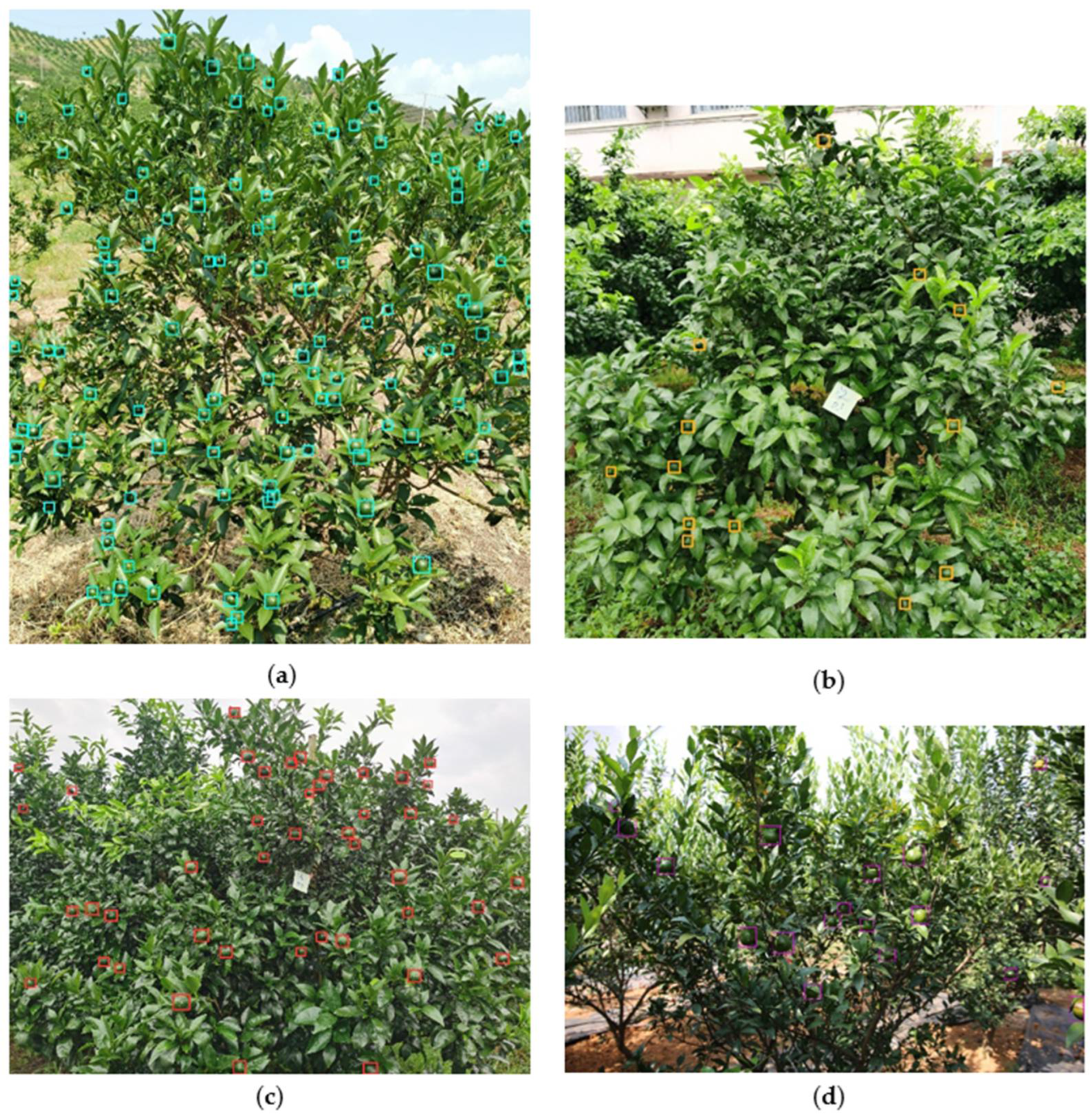 Applsci 12 06600 g012