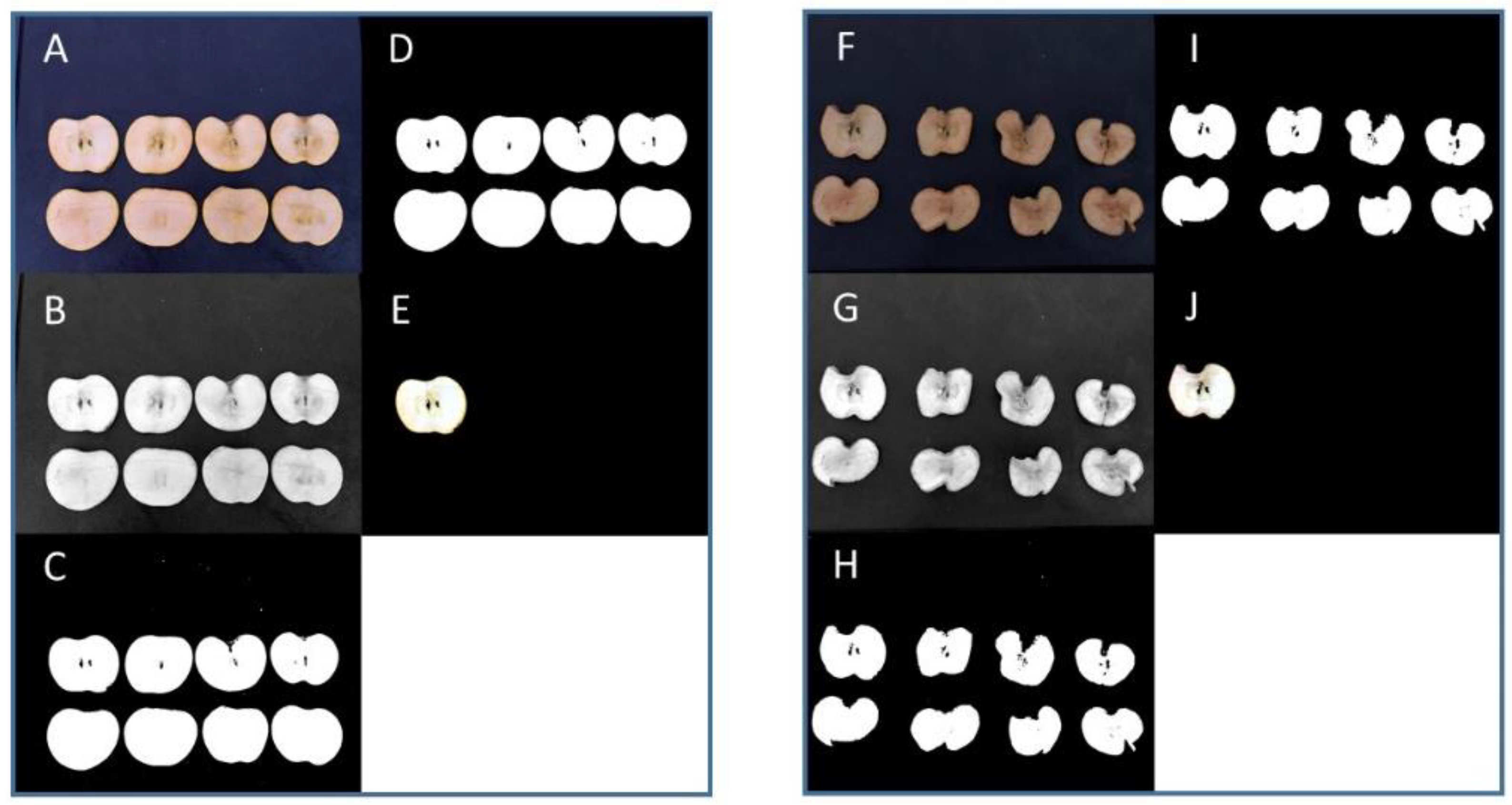 Applsci 12 11269 g002 Applsci 12 11269 g002