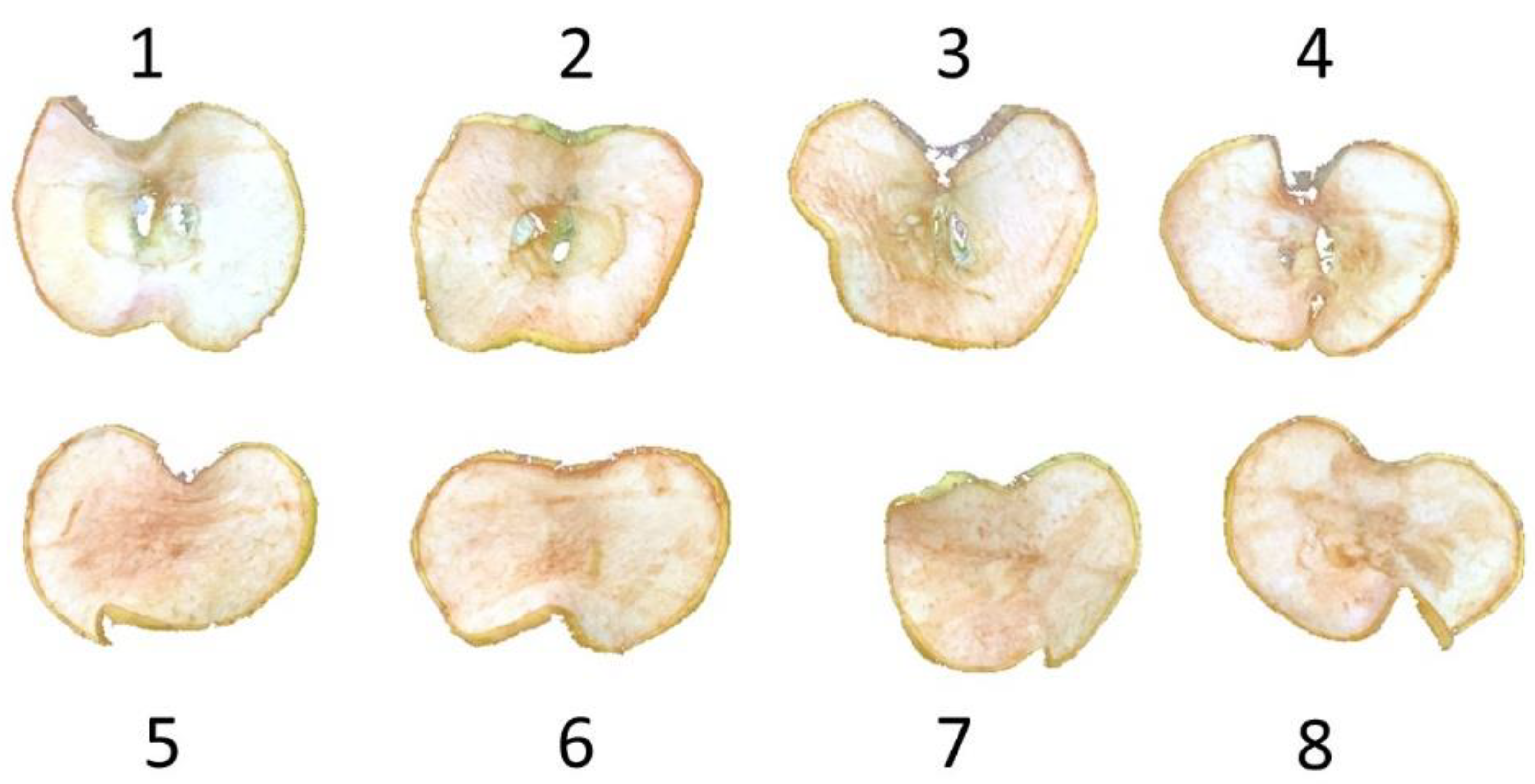 Applsci 12 11269 g006 Applsci 12 11269 g006