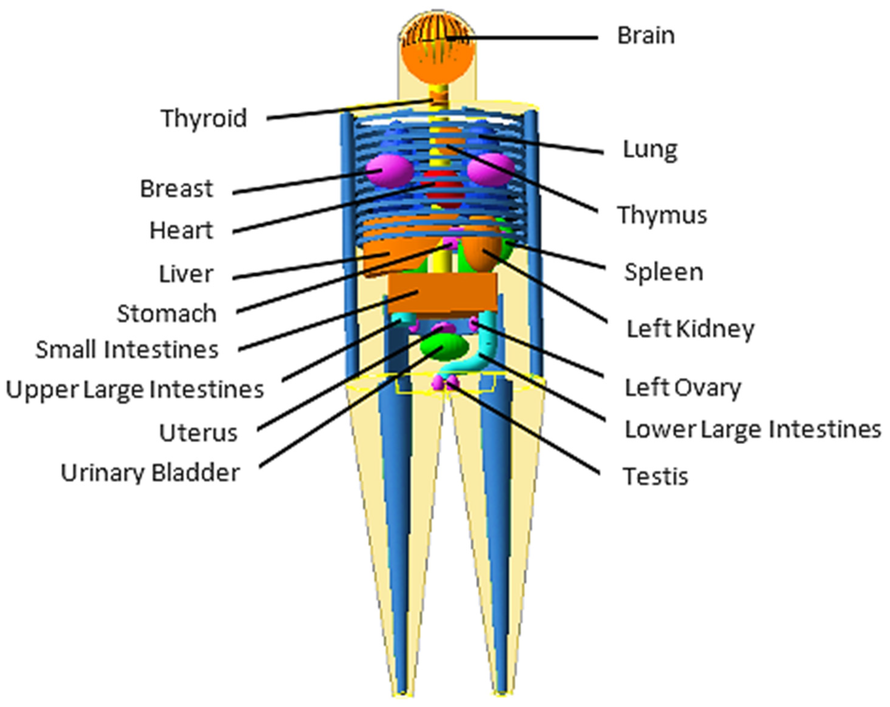 Applsci 12 12396 g001